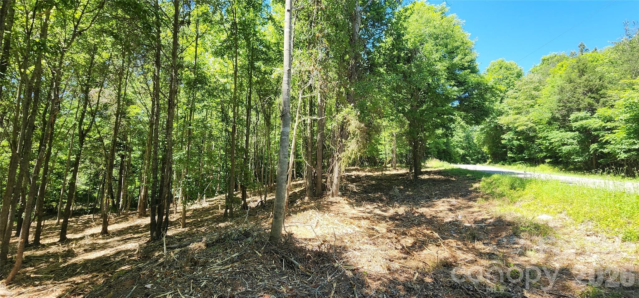 Lot at 480 Brown Road, Spartanburg, photo 31 of 48