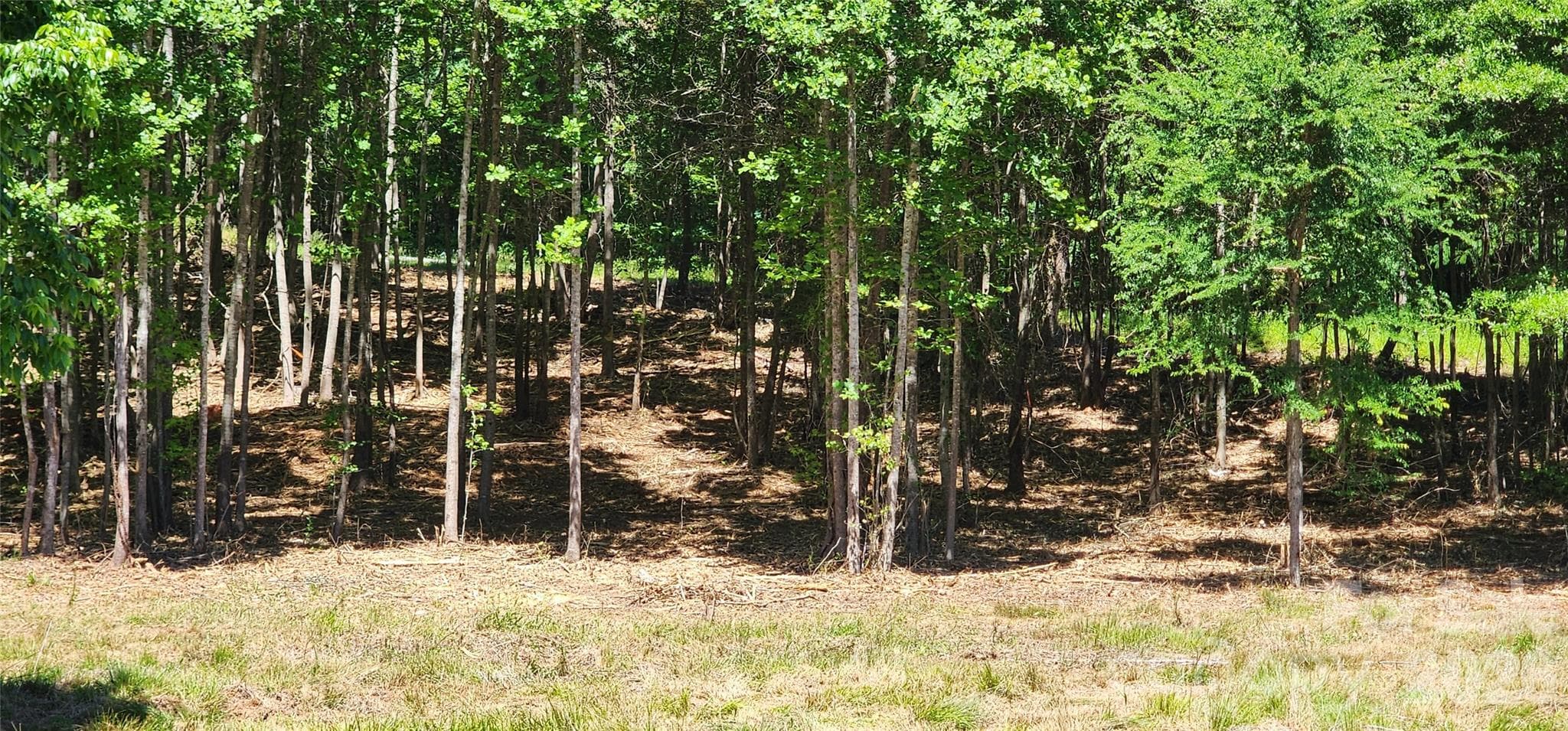 Lot at 480 Brown Road, Spartanburg, photo 36 of 48