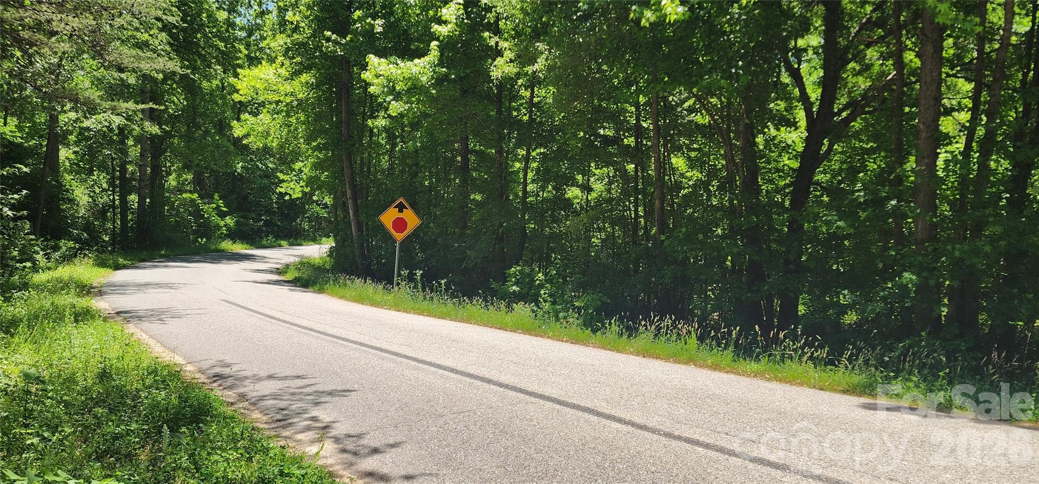 Lot at 480 Brown Road, Spartanburg, photo 37 of 48