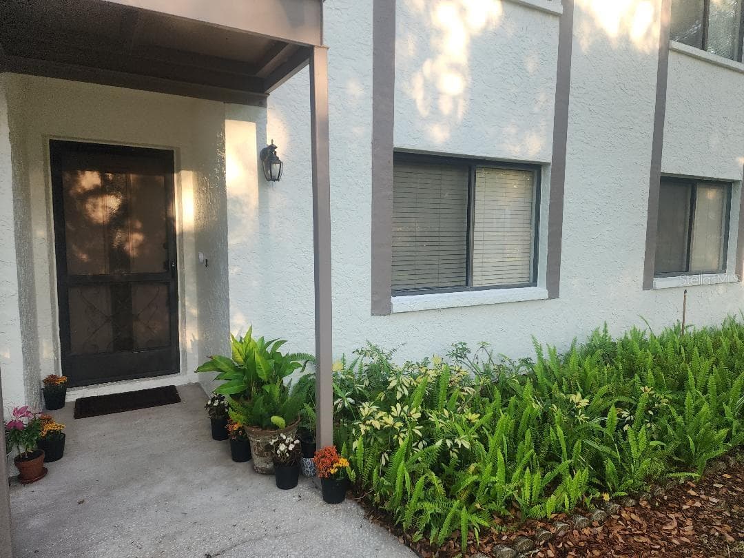 Condominium at 603 BALDWIN AVE #B, SAFETY HARBOR, photo 38 of 50