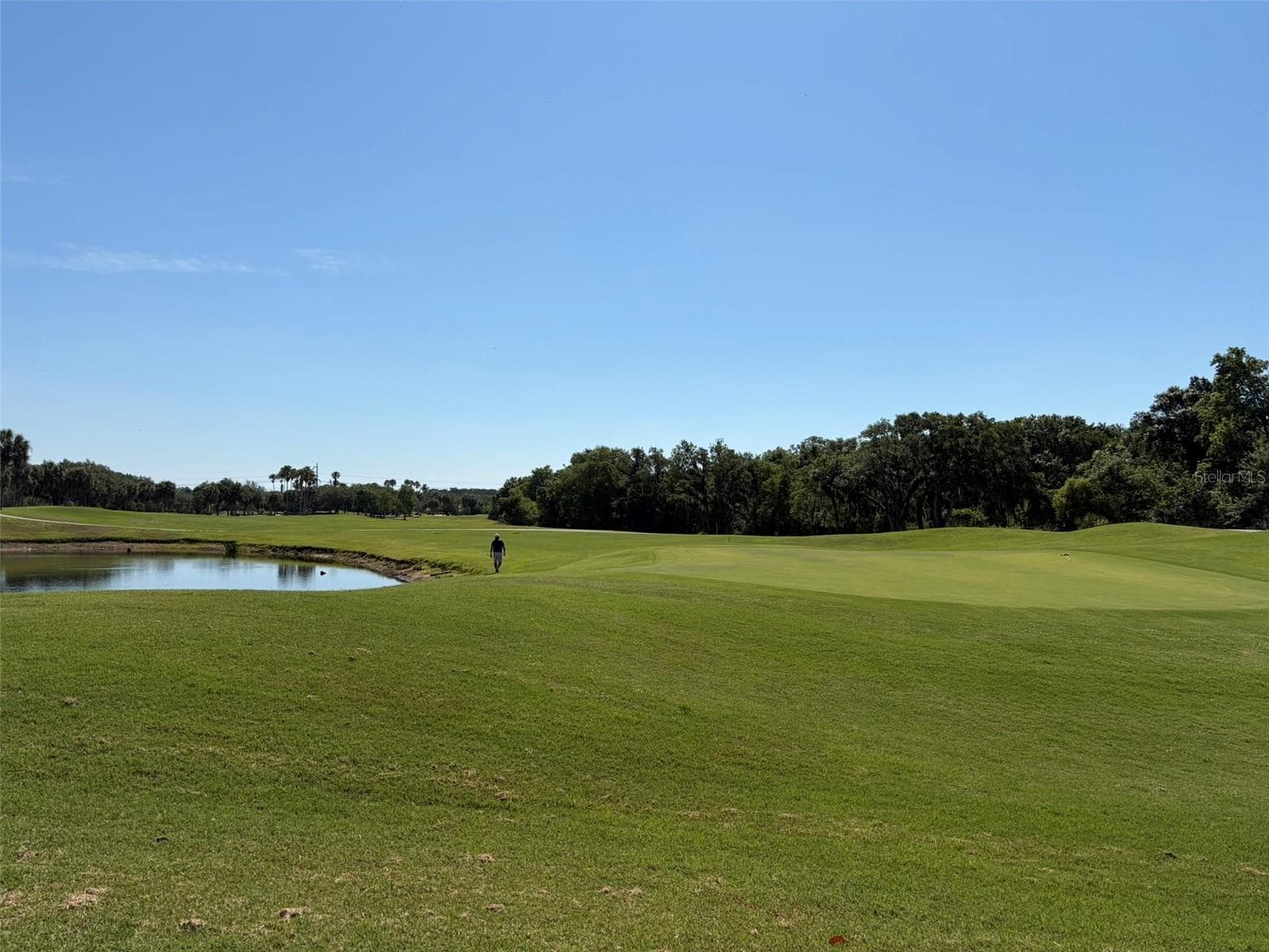 GOLF COURSE GREEN - 1003 FAIRWAYCOVE LN #201, BRADENTON