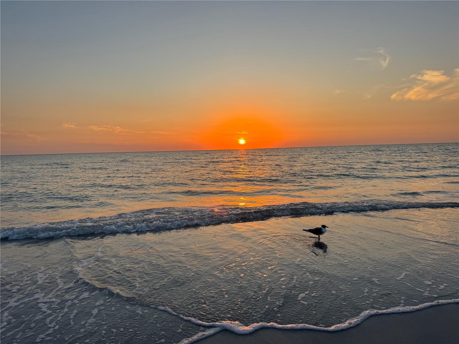 Cross over the blvd to see beautiful sunsets from you condo - 13343 GULF BLVD #14, MADEIRA BEACH