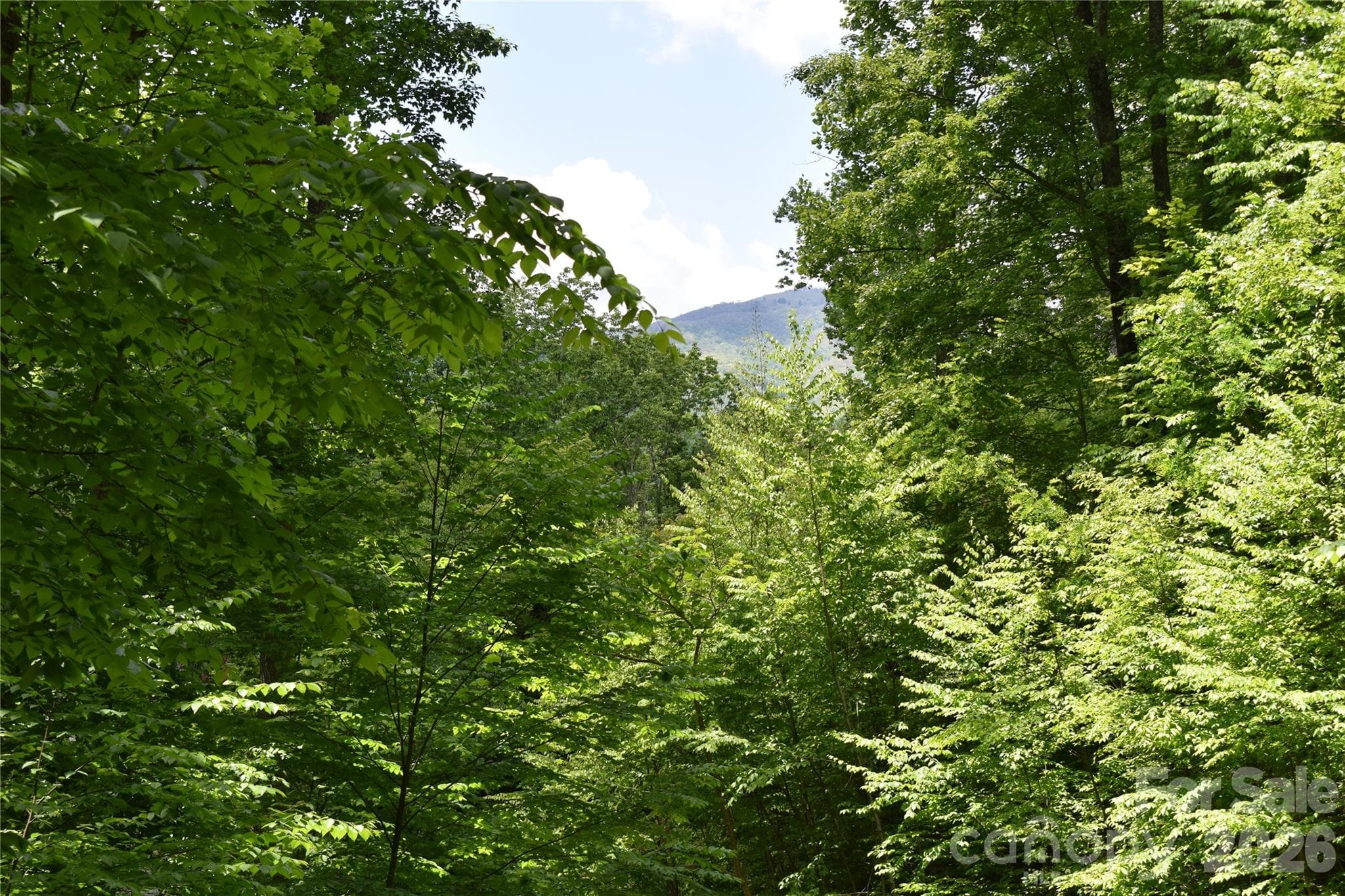 Lot at Waynesville, photo 6 of 7