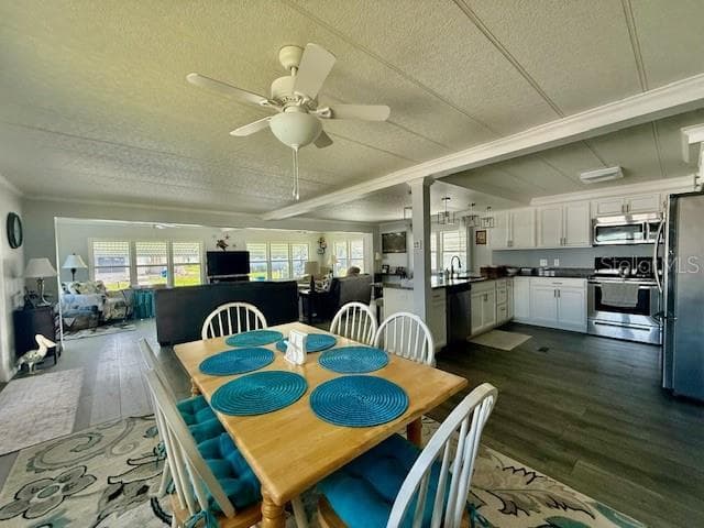 Dining/Kitchen - 264 PHILADELPHIA BLVD #51, PALM HARBOR