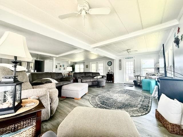 Living Area - 264 PHILADELPHIA BLVD #51, PALM HARBOR