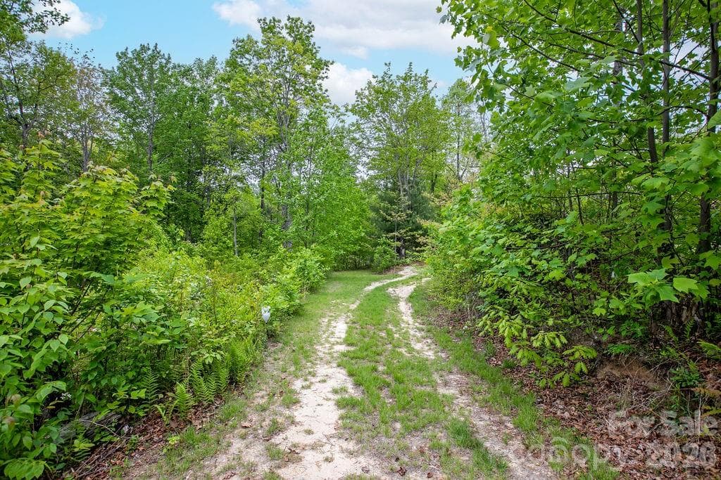 Roads Throughout - 111 Wild Hog Creek Road, Rosman