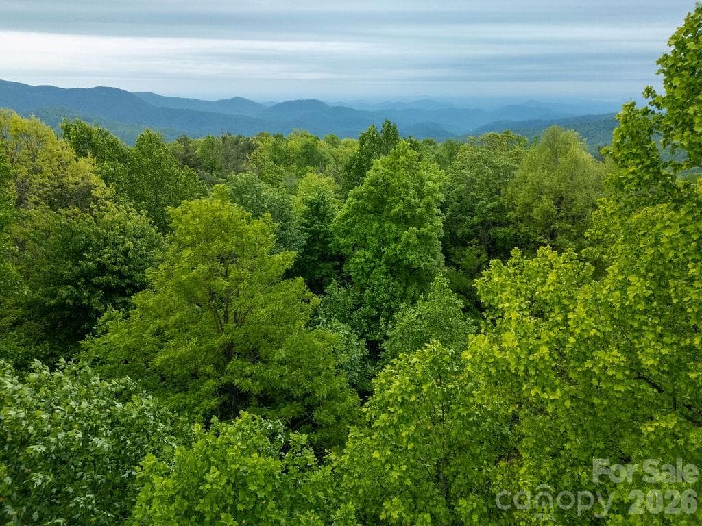 Wooded Privacy - 111 Wild Hog Creek Road, Rosman