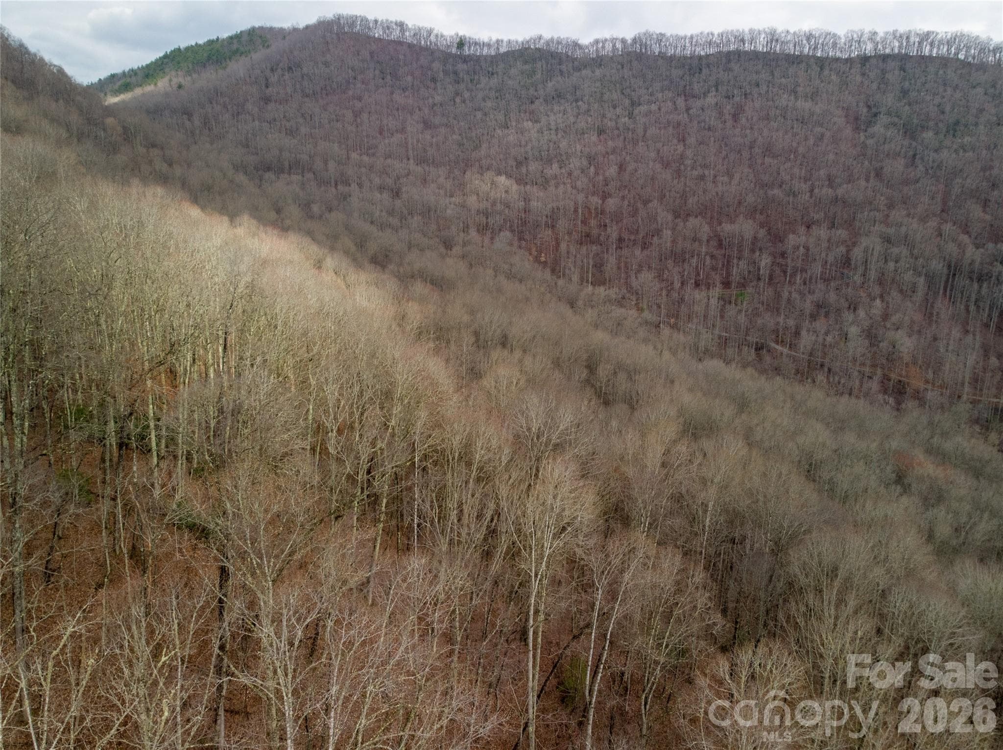 Acreage at Robbinsville, photo 4 of 8