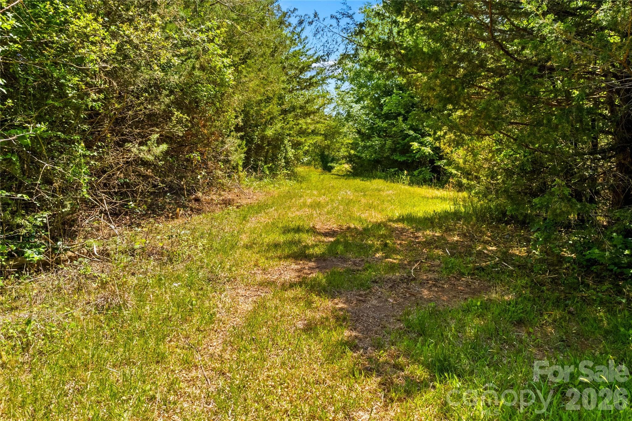 Acreage at 190 Sheffield Road, Harmony, photo 2 of 13