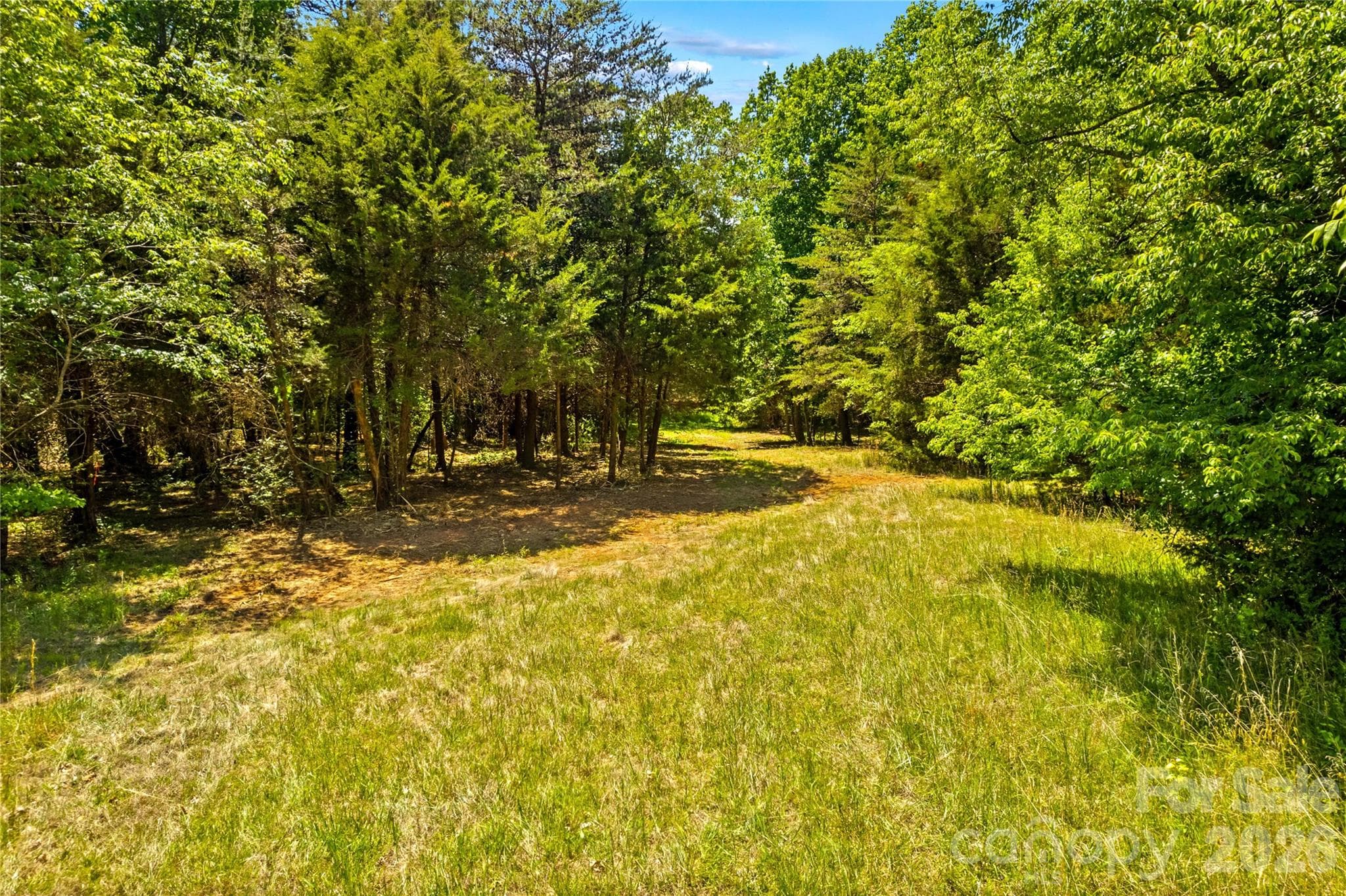 Acreage at 190 Sheffield Road, Harmony, photo 5 of 13
