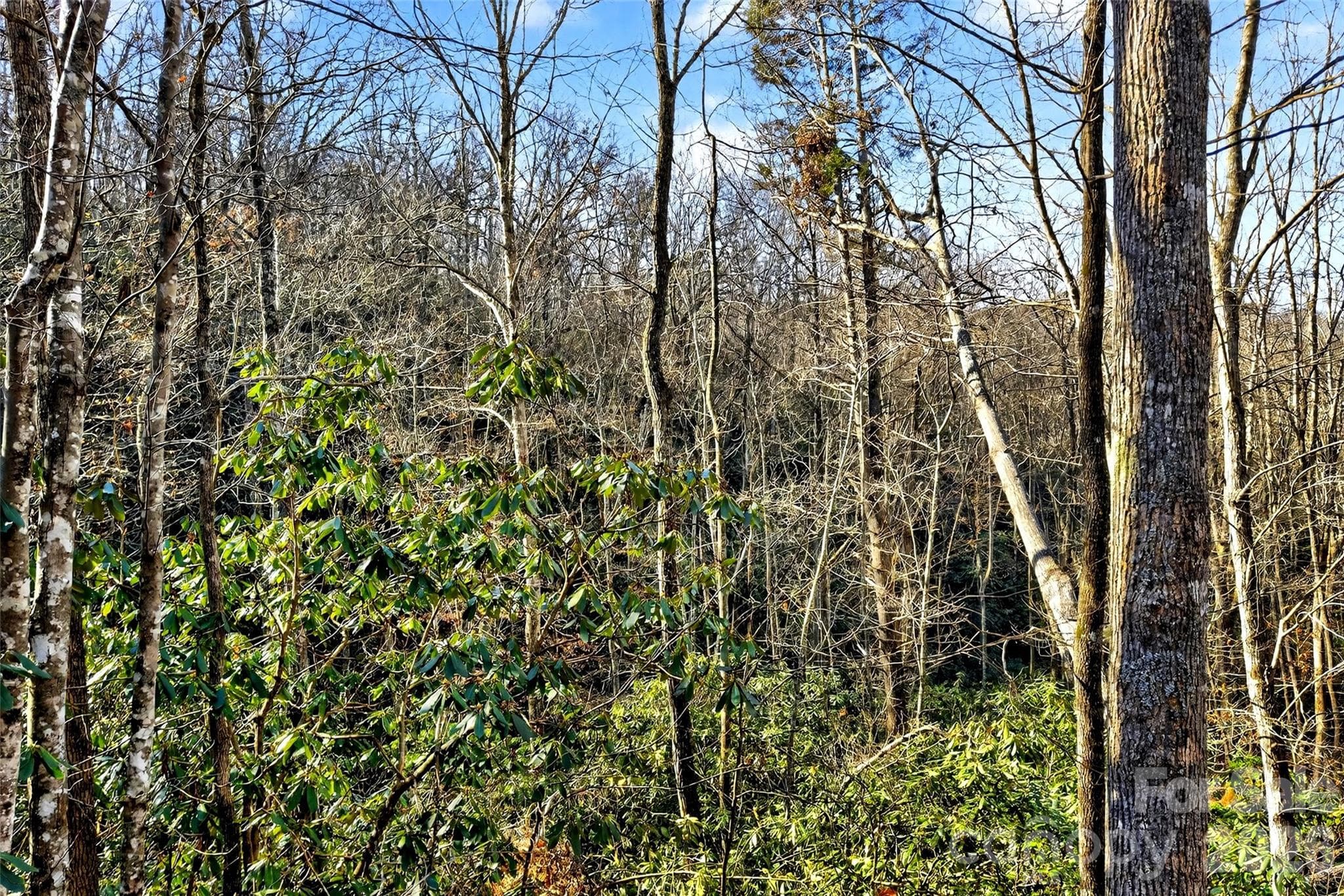 Lot at 172 Crimson Drive, Old Fort, photo 16 of 39