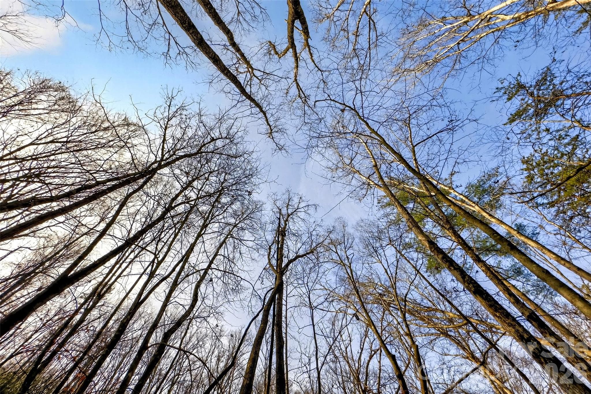 Lot at 172 Crimson Drive, Old Fort, photo 18 of 39
