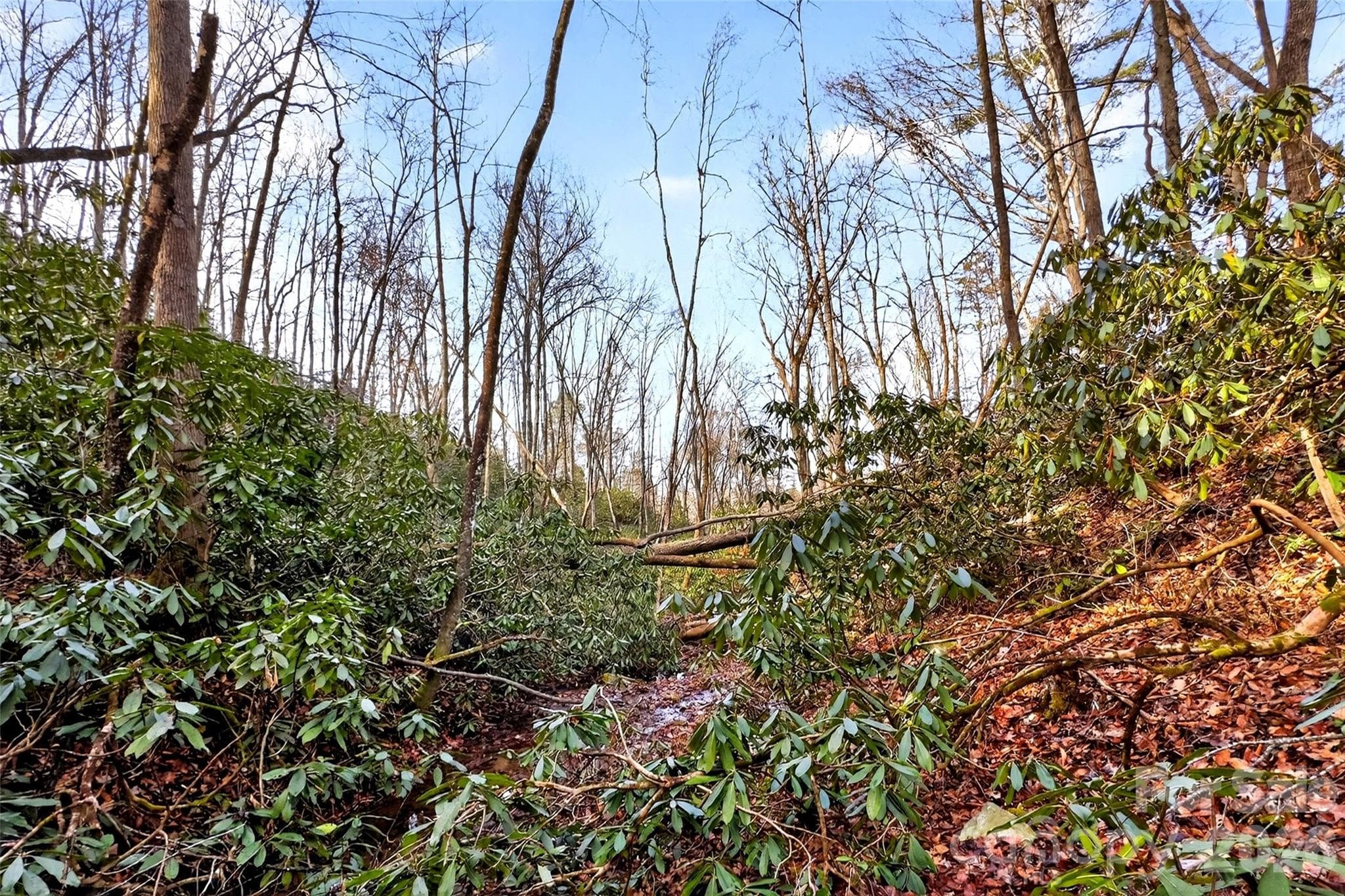Lot at 172 Crimson Drive, Old Fort, photo 21 of 39