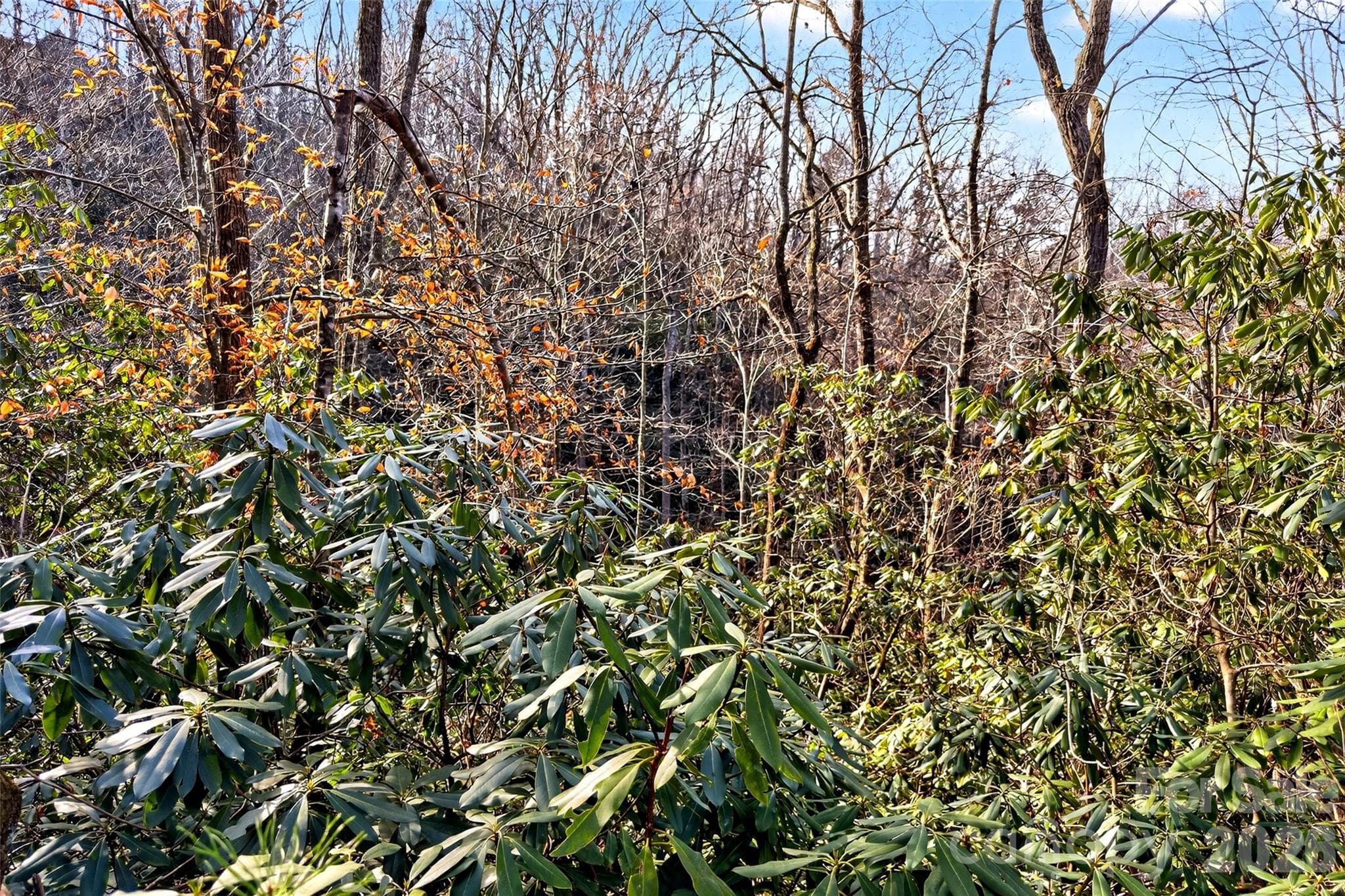 Lot at 172 Crimson Drive, Old Fort, photo 29 of 39