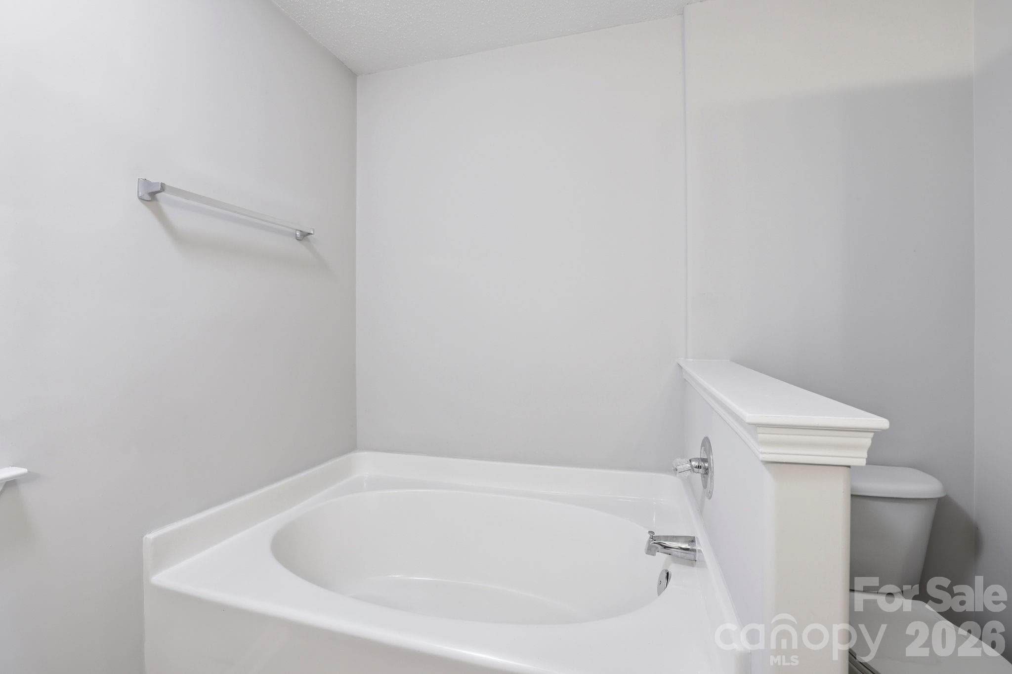 Master garden tub - 7616 Silver Arrow Drive, Charlotte