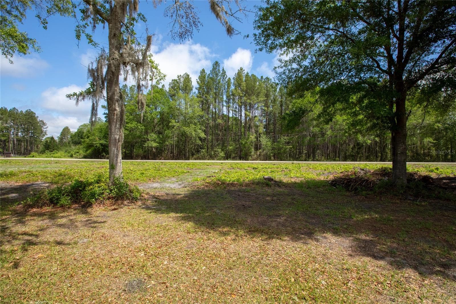 Land at NW 185TH ST, STARKE, photo 10 of 19