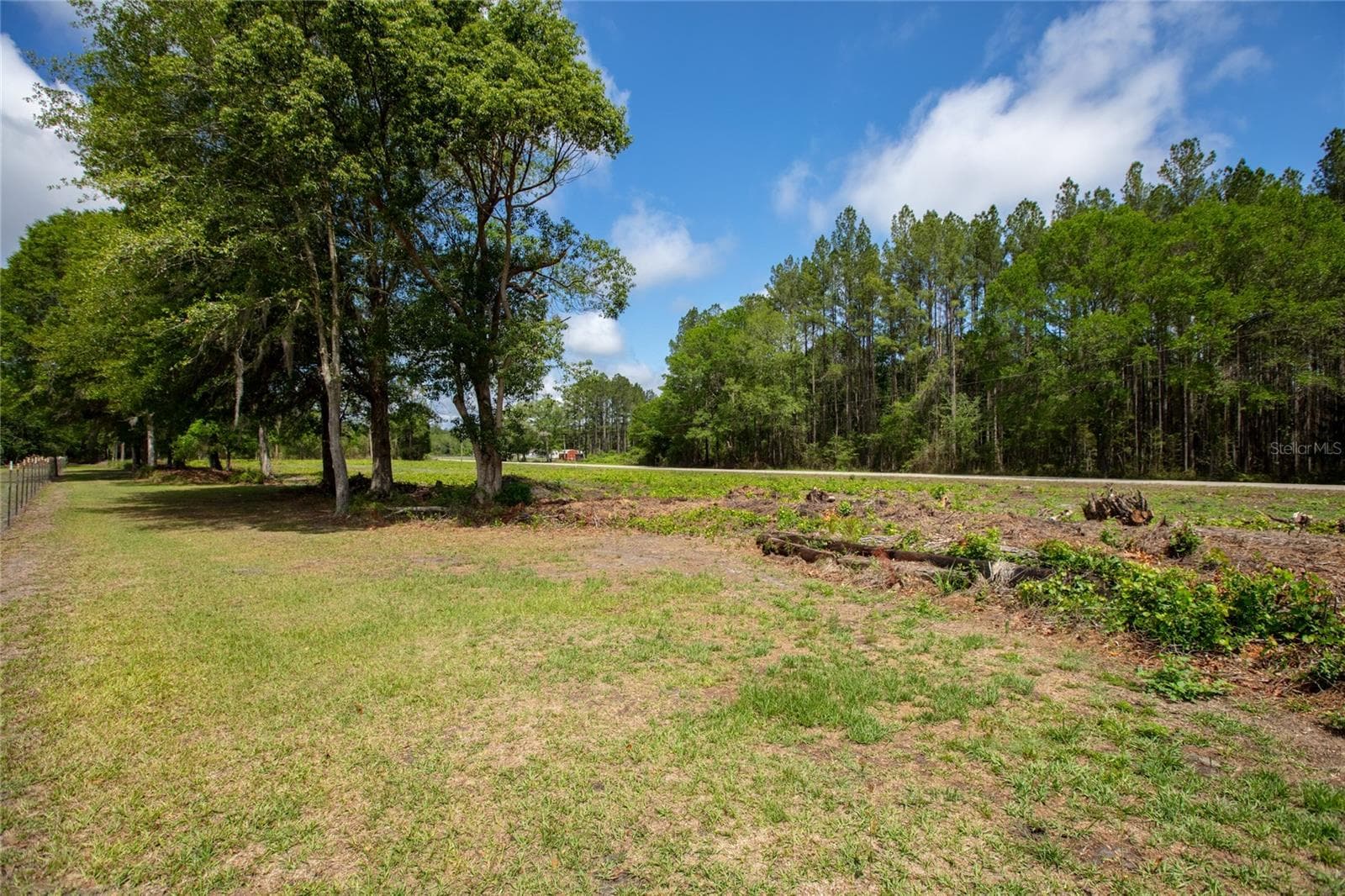 Land at NW 185TH ST, STARKE, photo 11 of 19