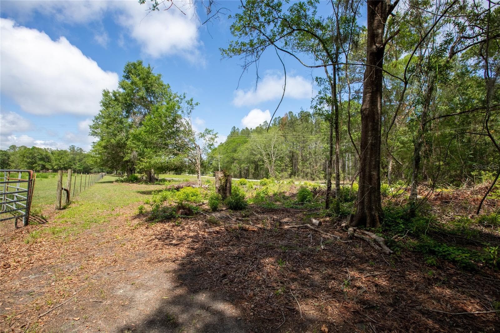 Land at NW 185TH ST, STARKE, photo 12 of 19
