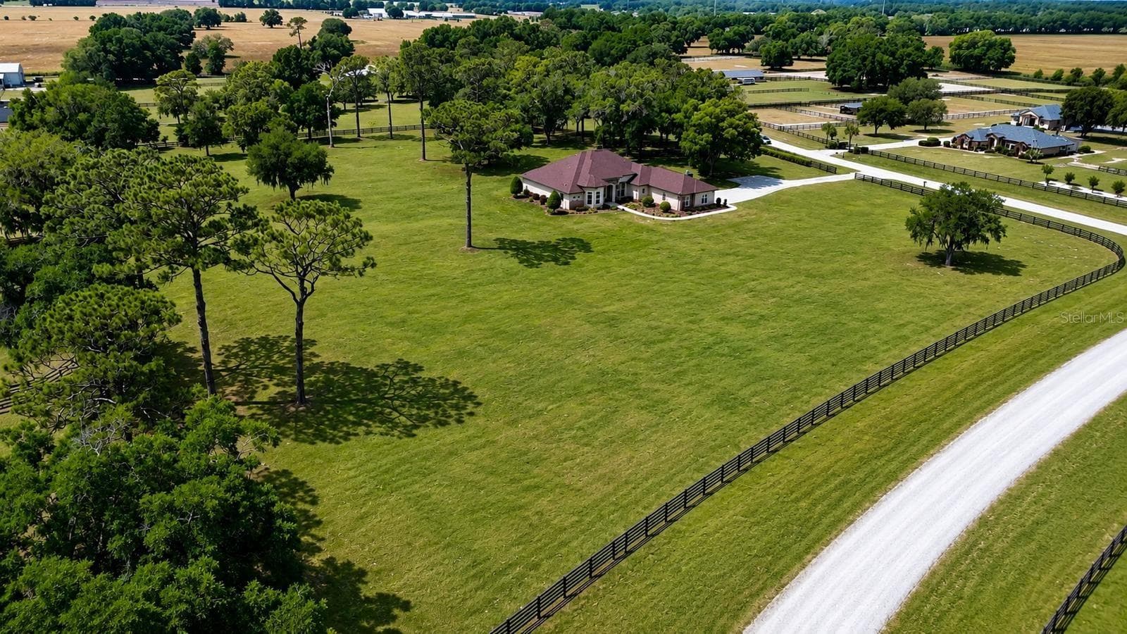Grass Digitally Enhanced - 1145 NW 63RD CT, OCALA