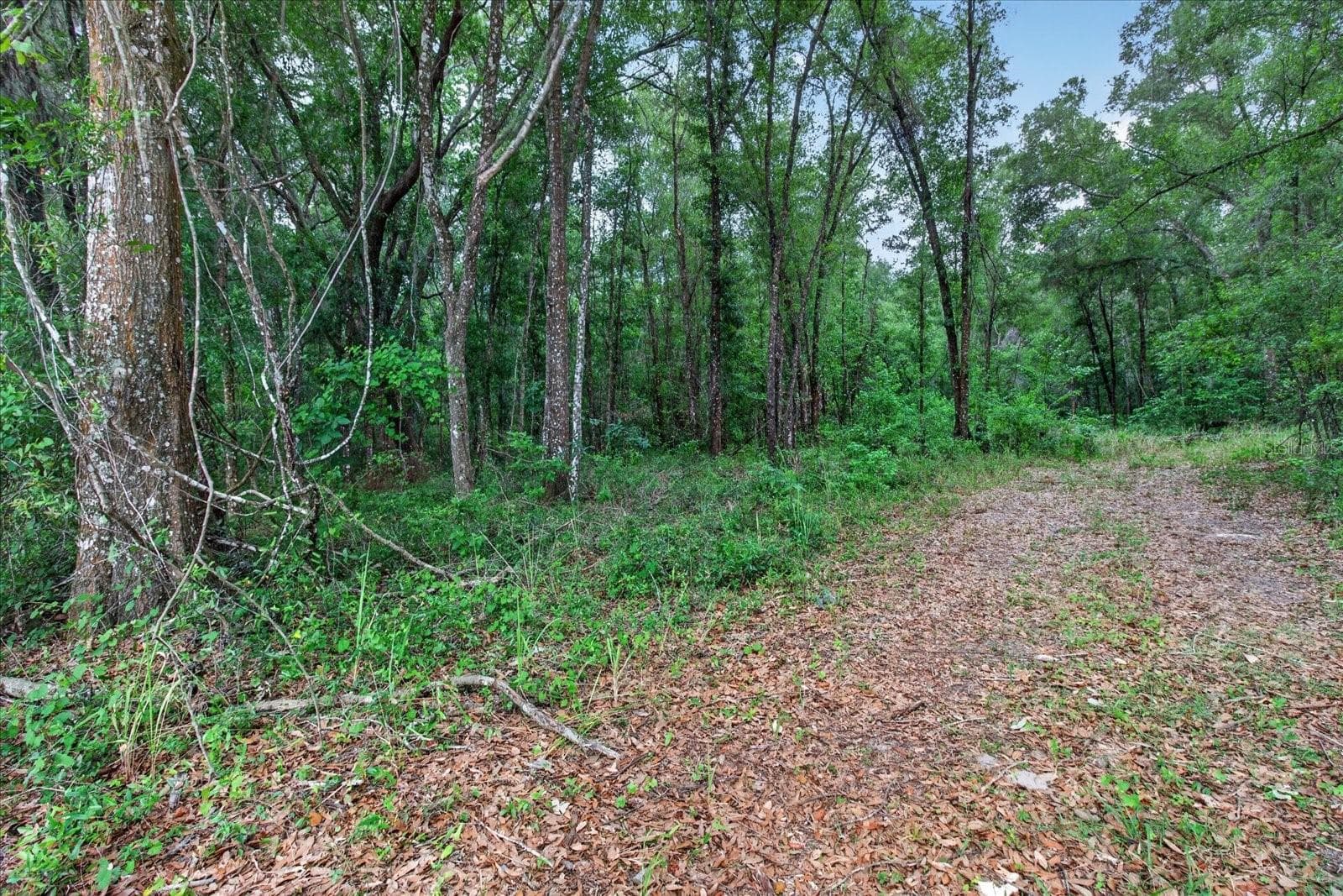Land at 0 CORTEZ BLVD, BROOKSVILLE, photo 9 of 9
