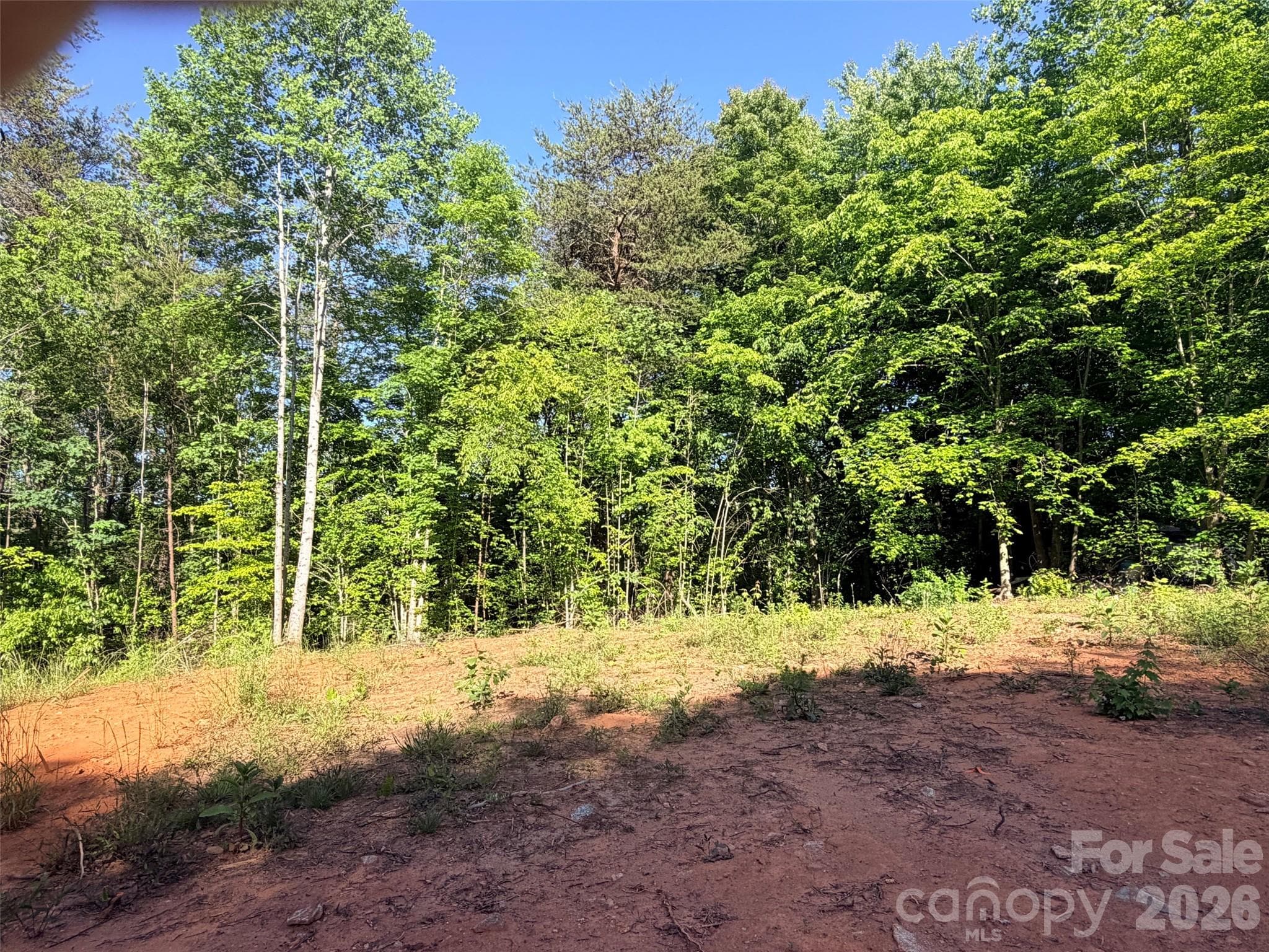 Acreage at 0 Bonnie Lane, Union Mills, photo 3 of 8