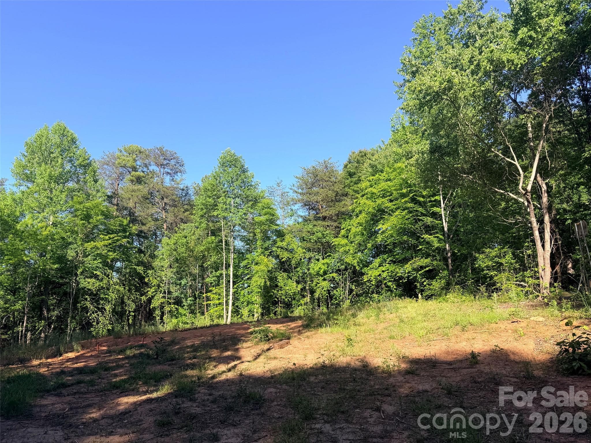 Acreage at 0 Bonnie Lane, Union Mills, photo 6 of 8