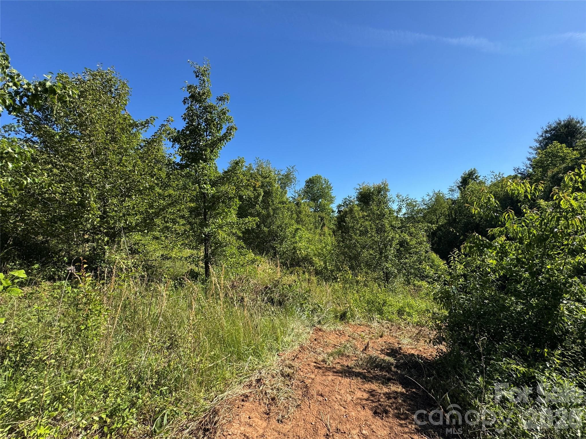 Lot at 99999 Duckett Road, Candler, photo 8 of 34