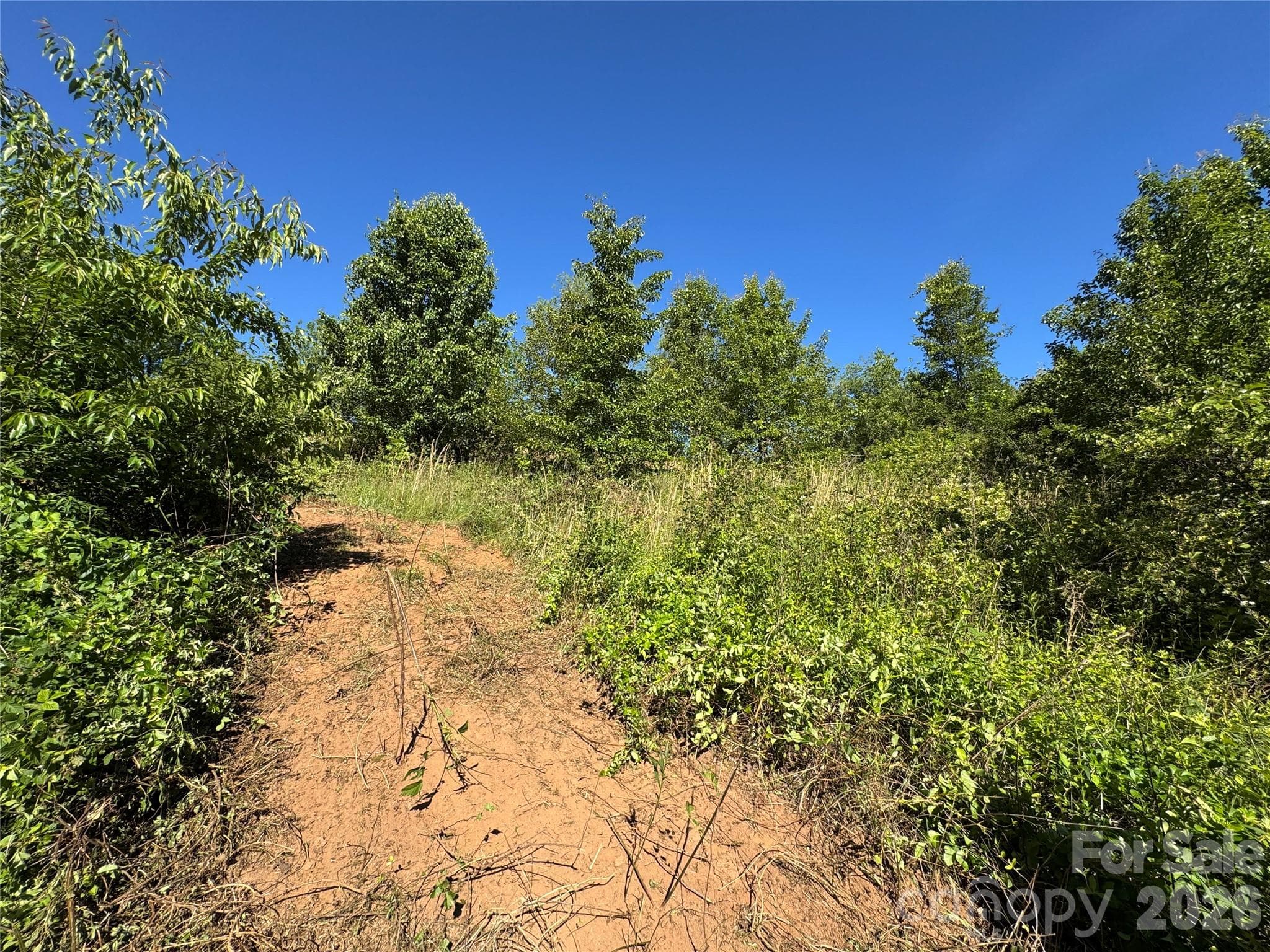 Lot at 99999 Duckett Road, Candler, photo 11 of 34