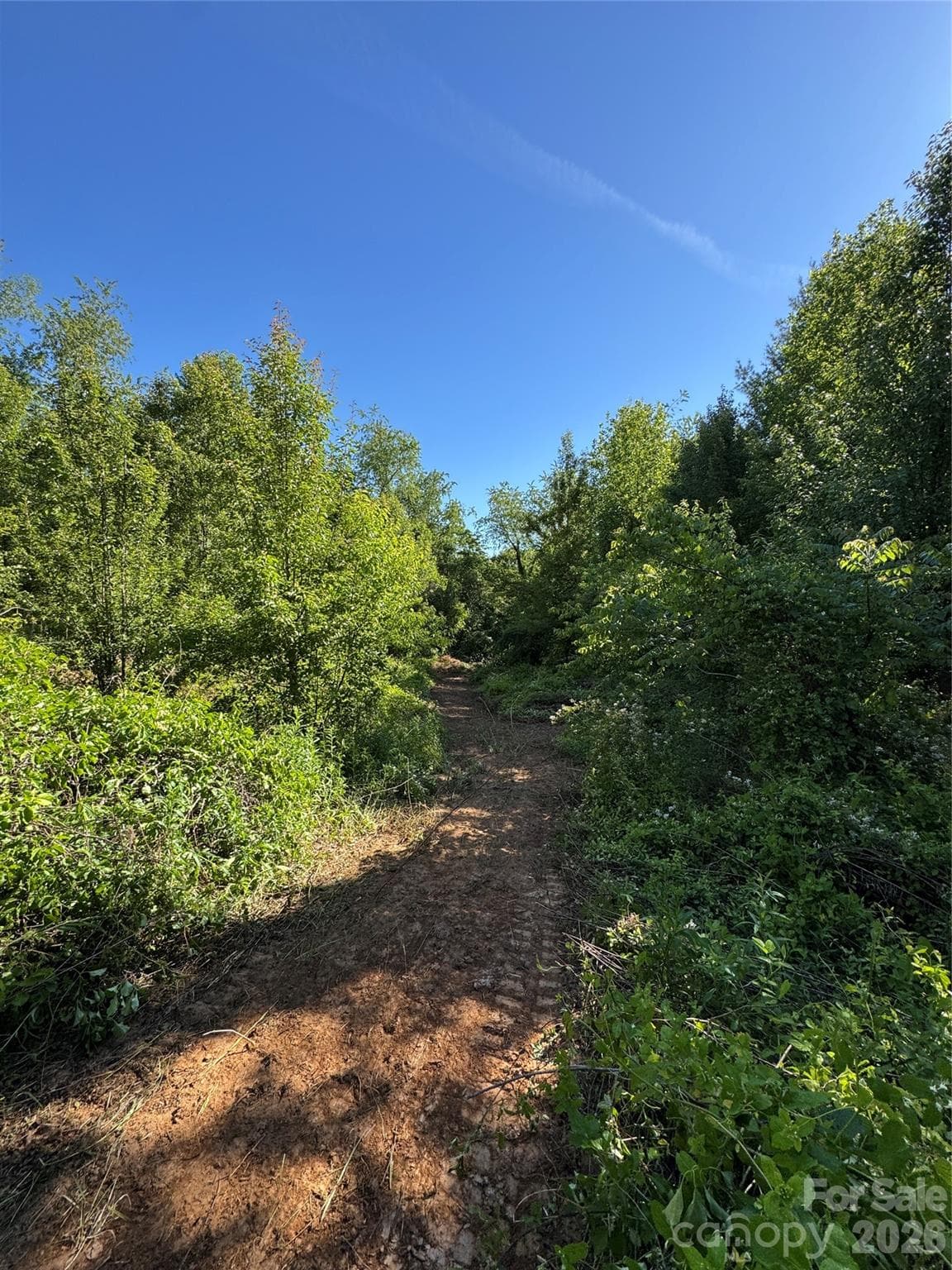 Lot at 99999 Duckett Road, Candler, photo 12 of 34