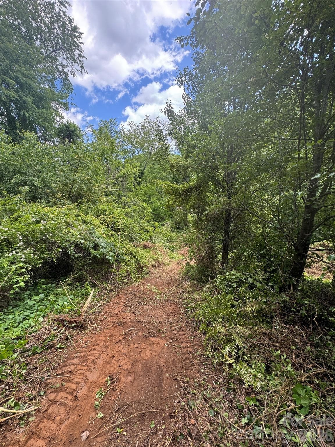 Lot at 99999 Duckett Road, Candler, photo 13 of 34