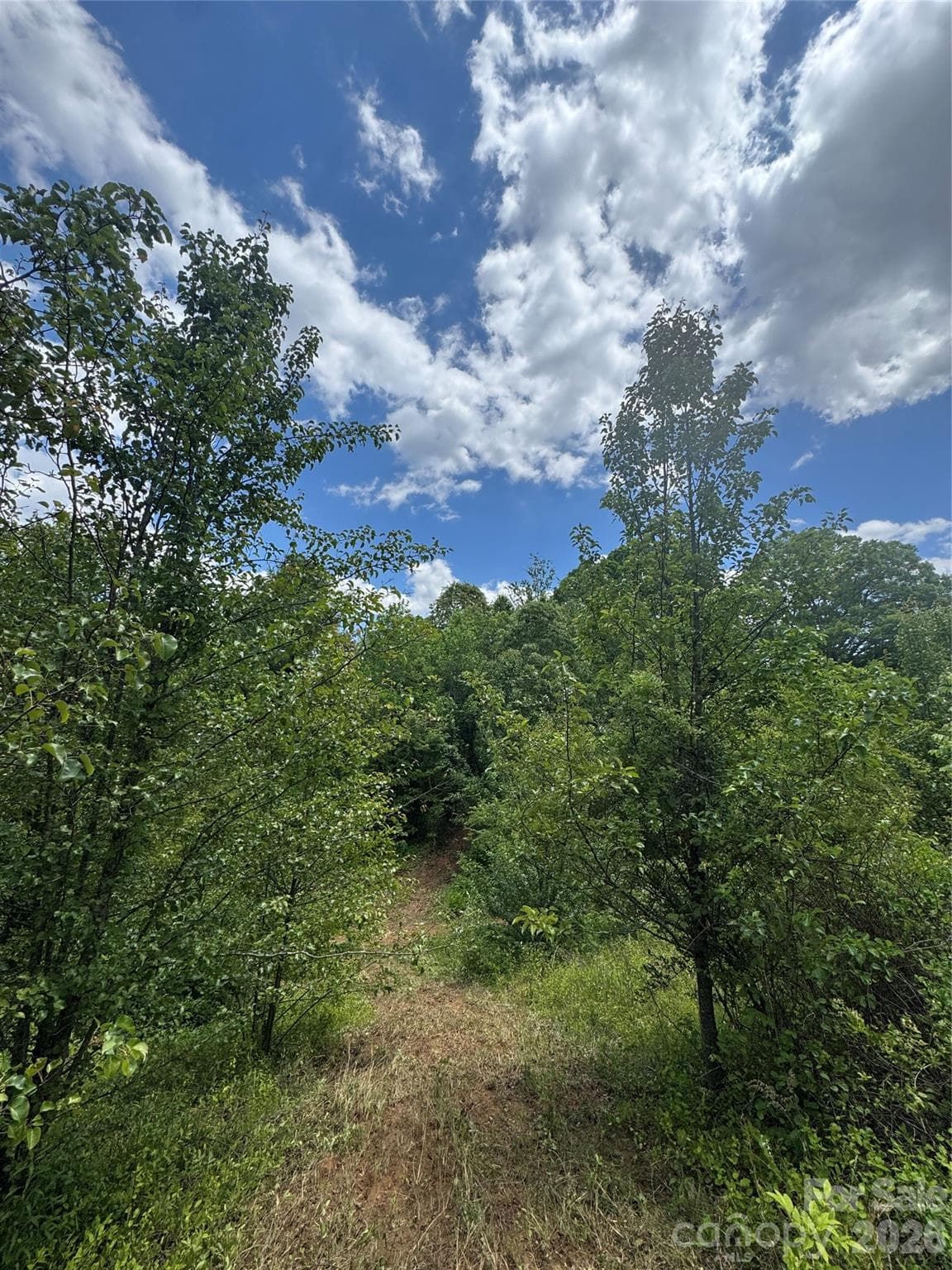 Lot at 99999 Duckett Road, Candler, photo 14 of 34