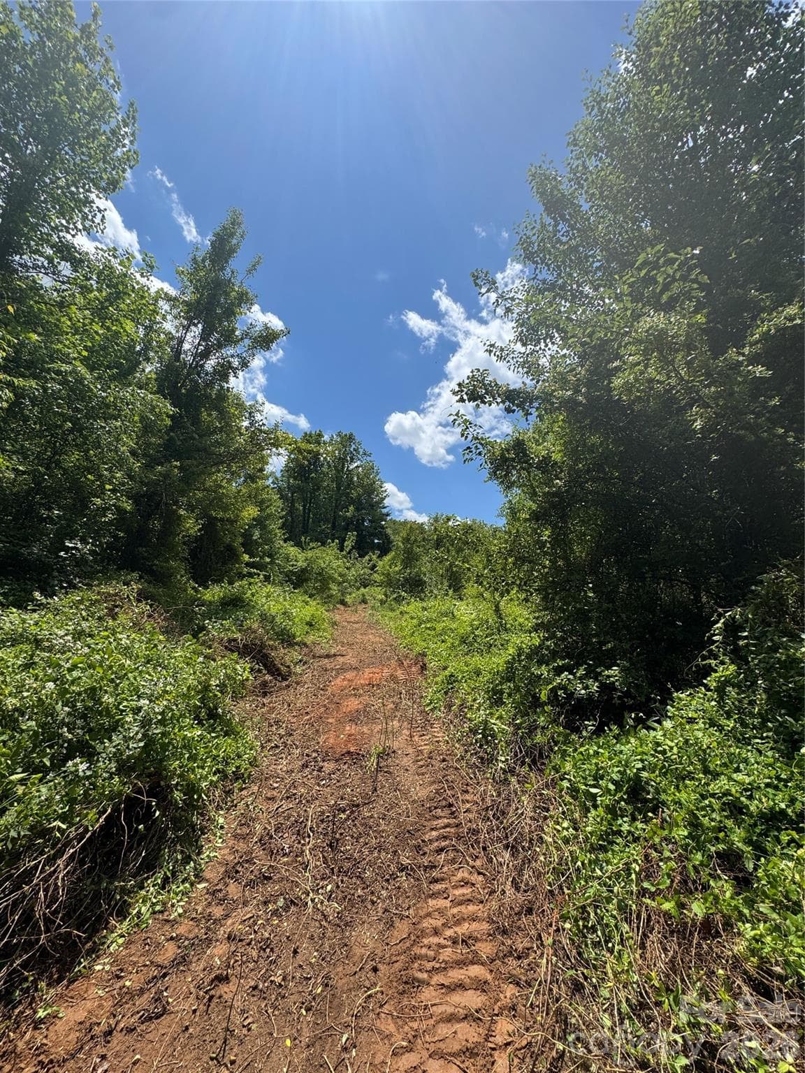 Lot at 99999 Duckett Road, Candler, photo 15 of 34