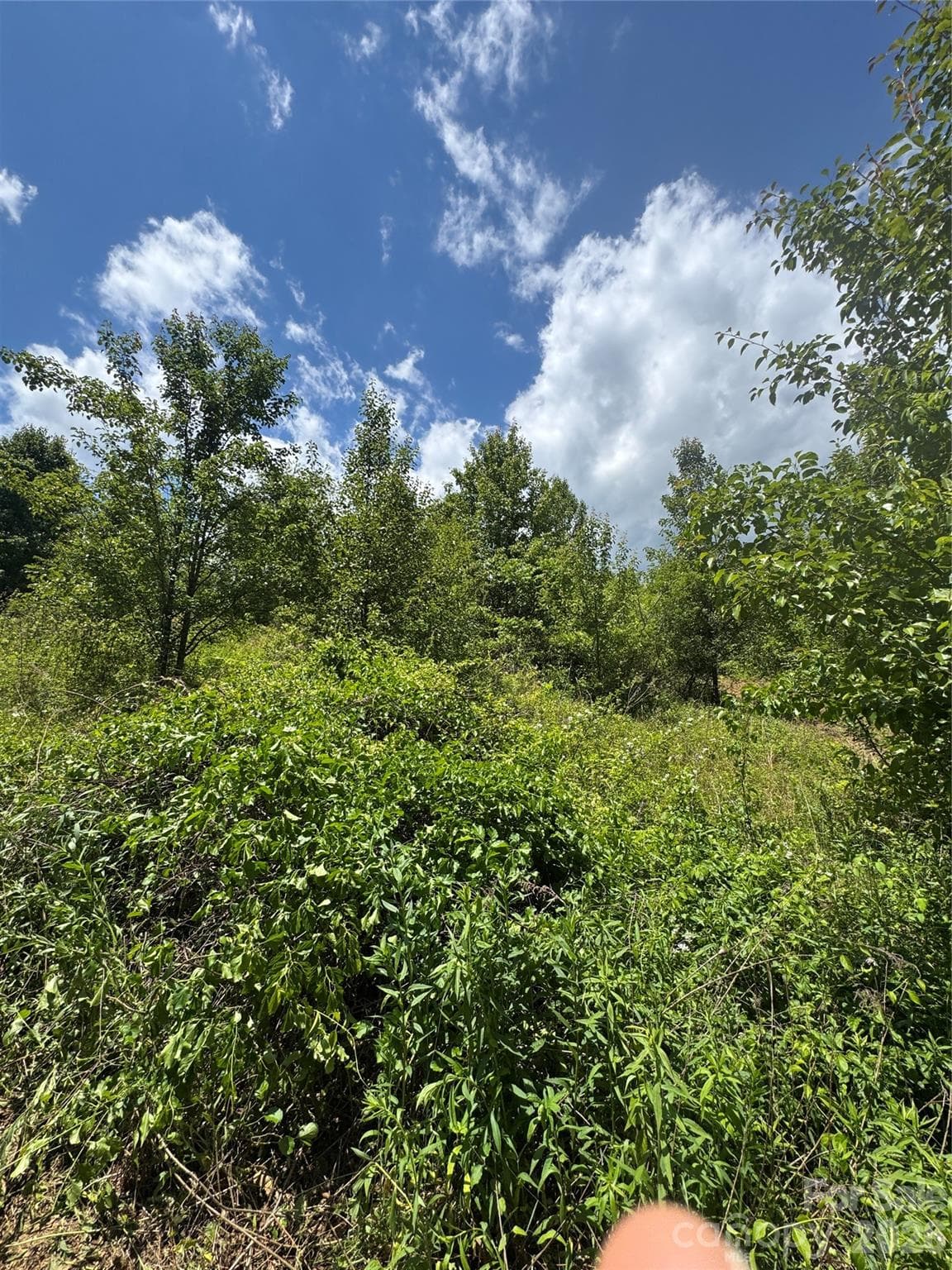 Lot at 99999 Duckett Road, Candler, photo 17 of 34