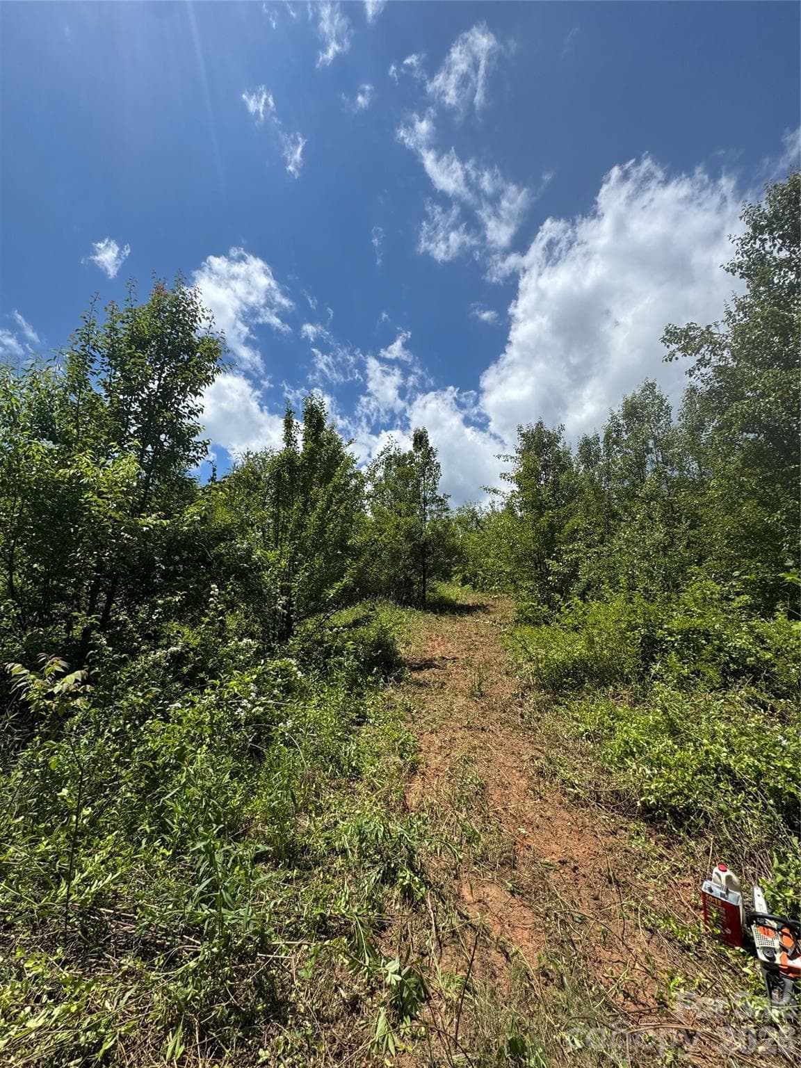 Lot at 99999 Duckett Road, Candler, photo 19 of 34