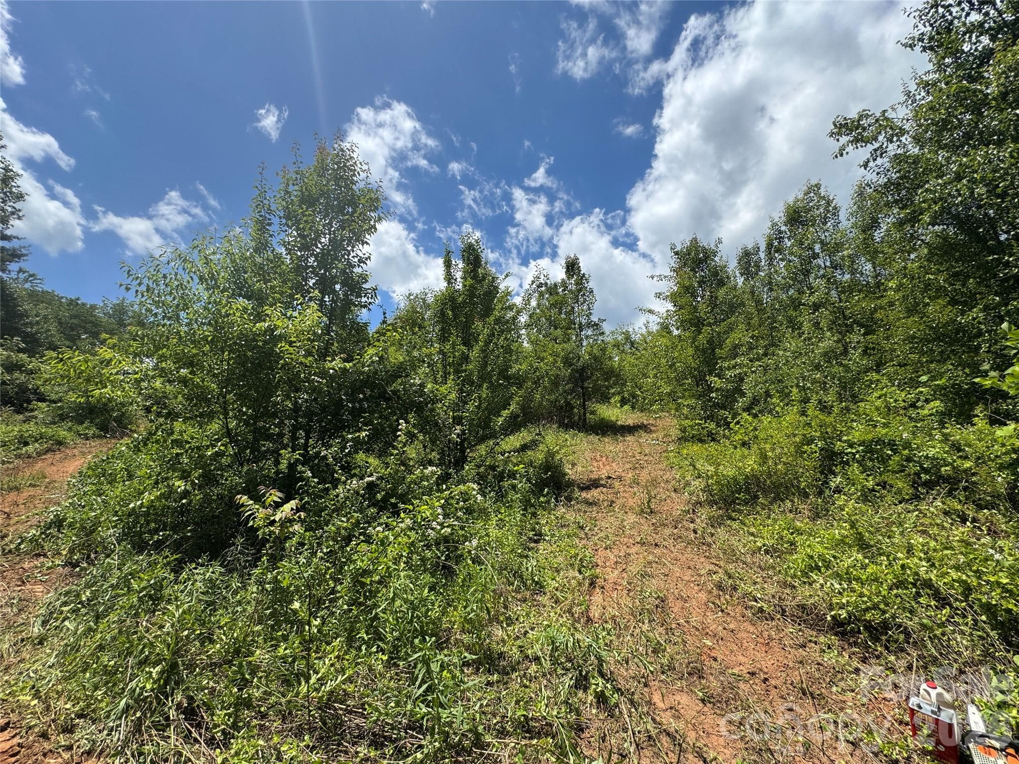 Lot at 99999 Duckett Road, Candler, photo 10 of 34