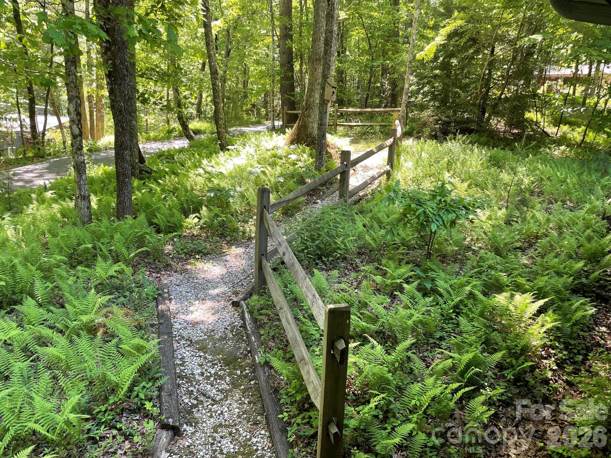 Walkway through front yard to additional parking space - 250 Butternut Lane, Brevard