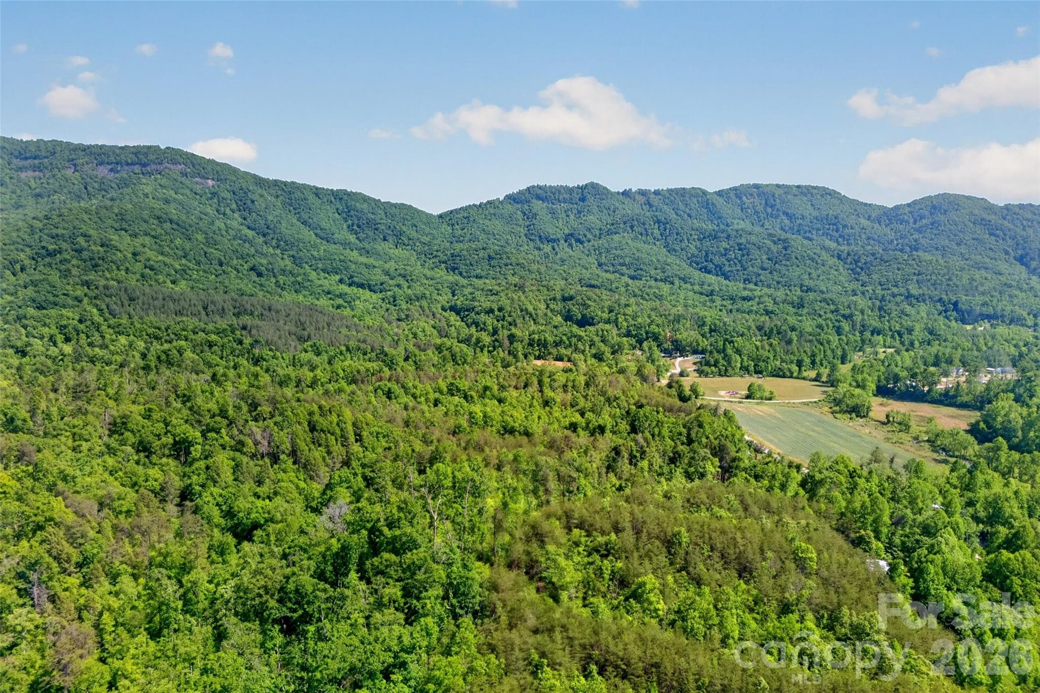 Acreage at 3361 Bethlehem Road, Old Fort, photo 9 of 47