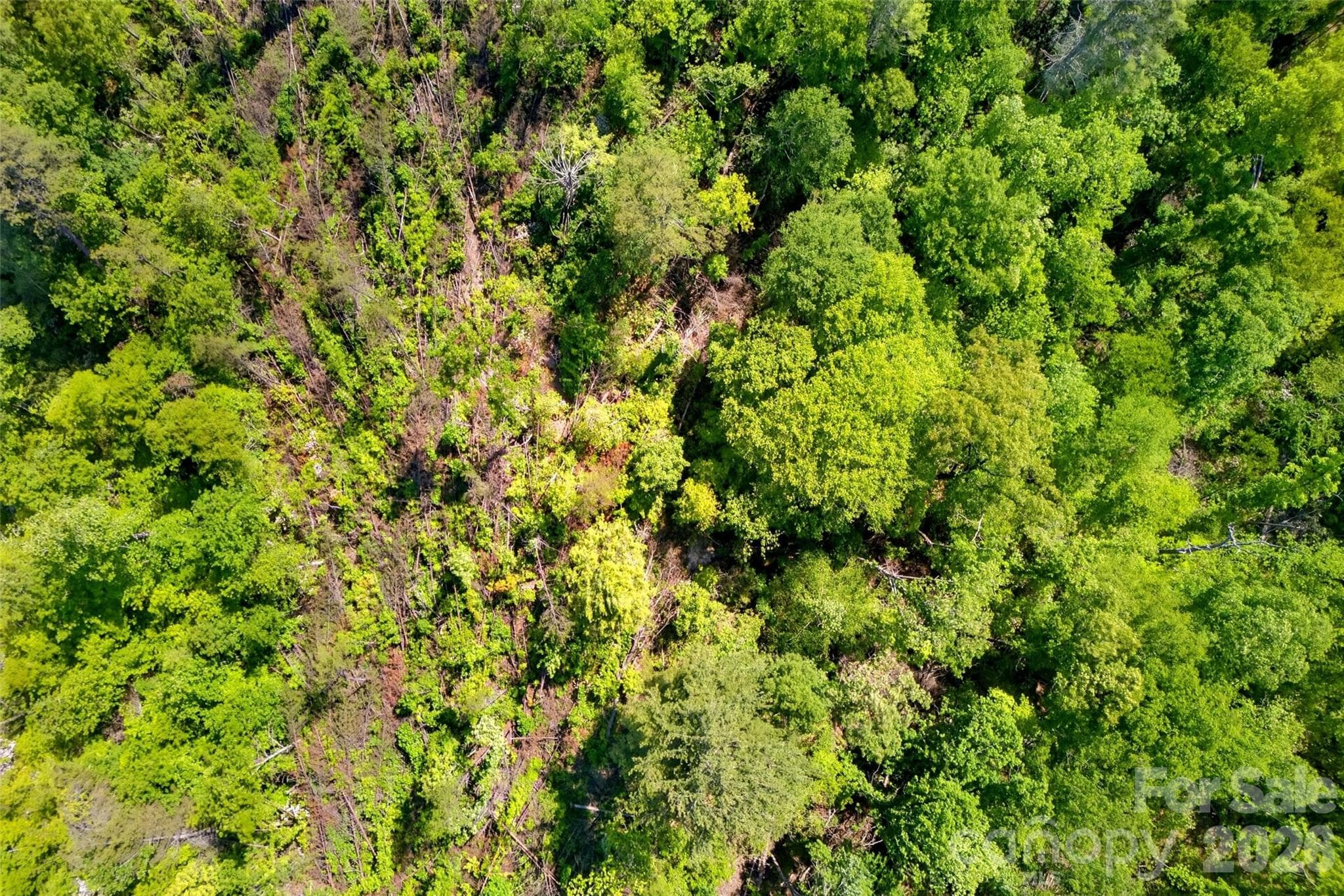 Acreage at 3361 Bethlehem Road, Old Fort, photo 14 of 47