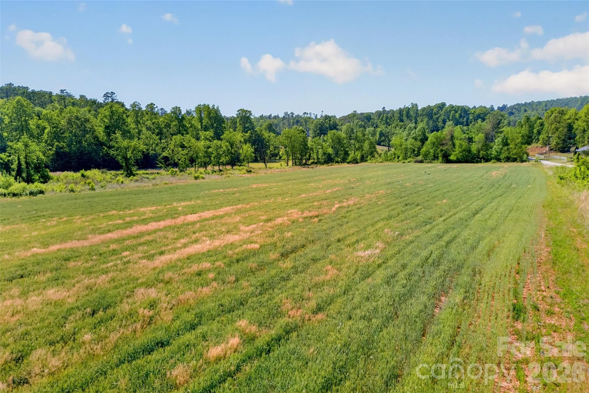 Acreage at 3361 Bethlehem Road, Old Fort, photo 18 of 47