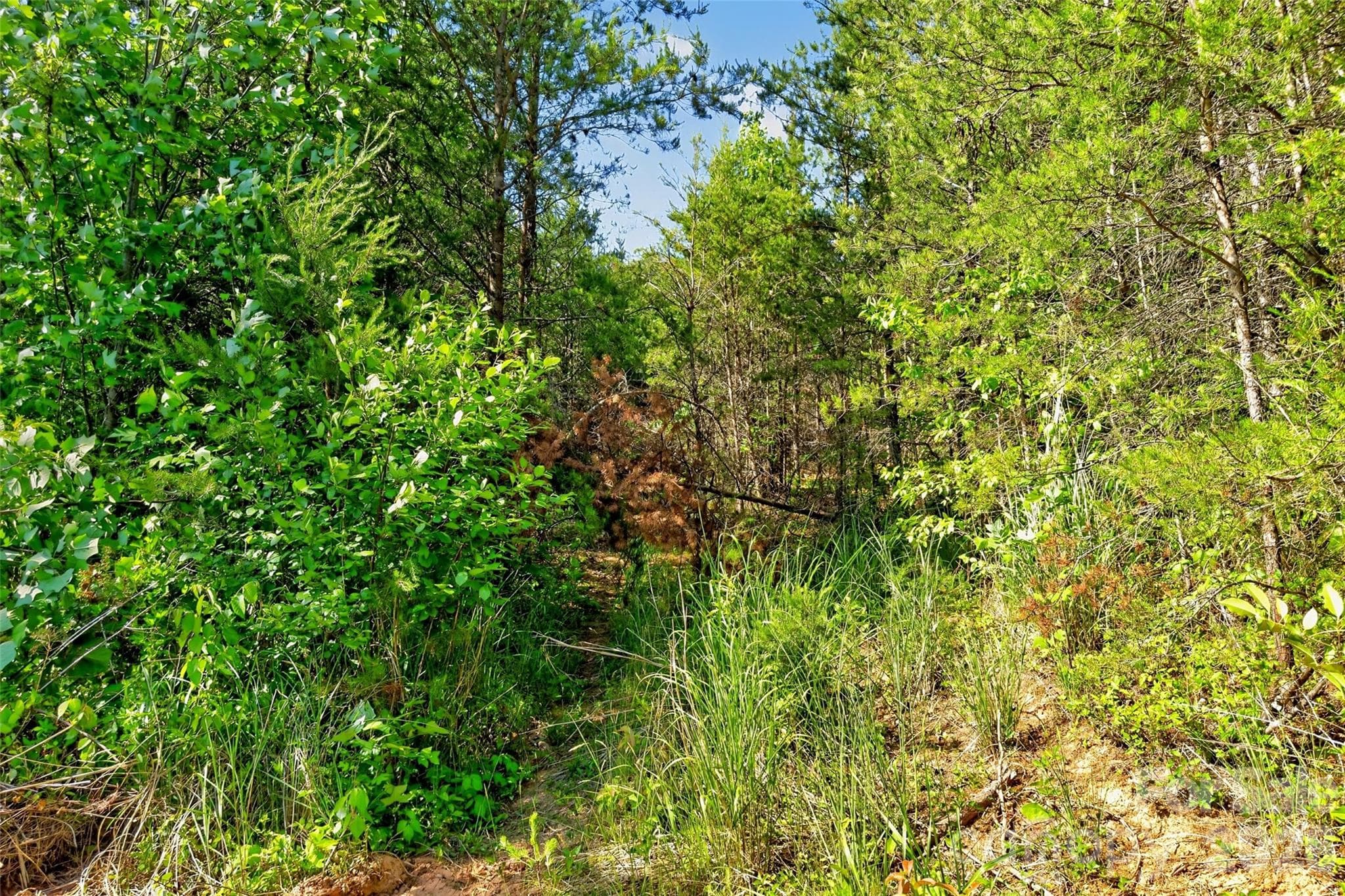 Acreage at 3361 Bethlehem Road, Old Fort, photo 36 of 47