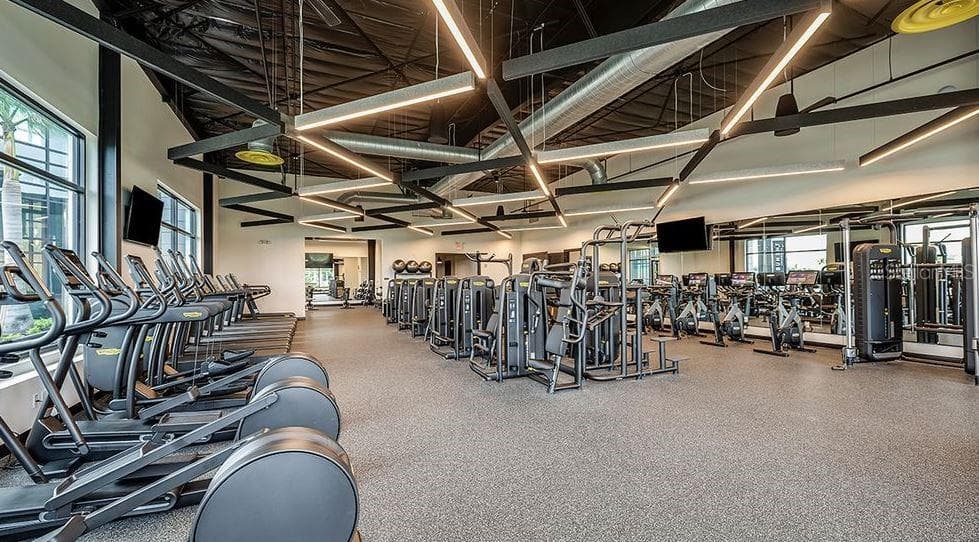 Cassia at Skye Ranch Community - 7907 INTERSTELLAR AVE, SARASOTA