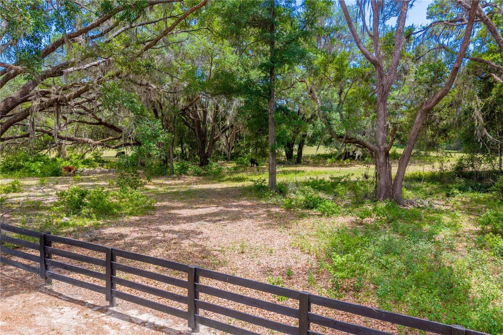 Land at TBD SW 170TH ST, NEWBERRY, photo 25 of 29