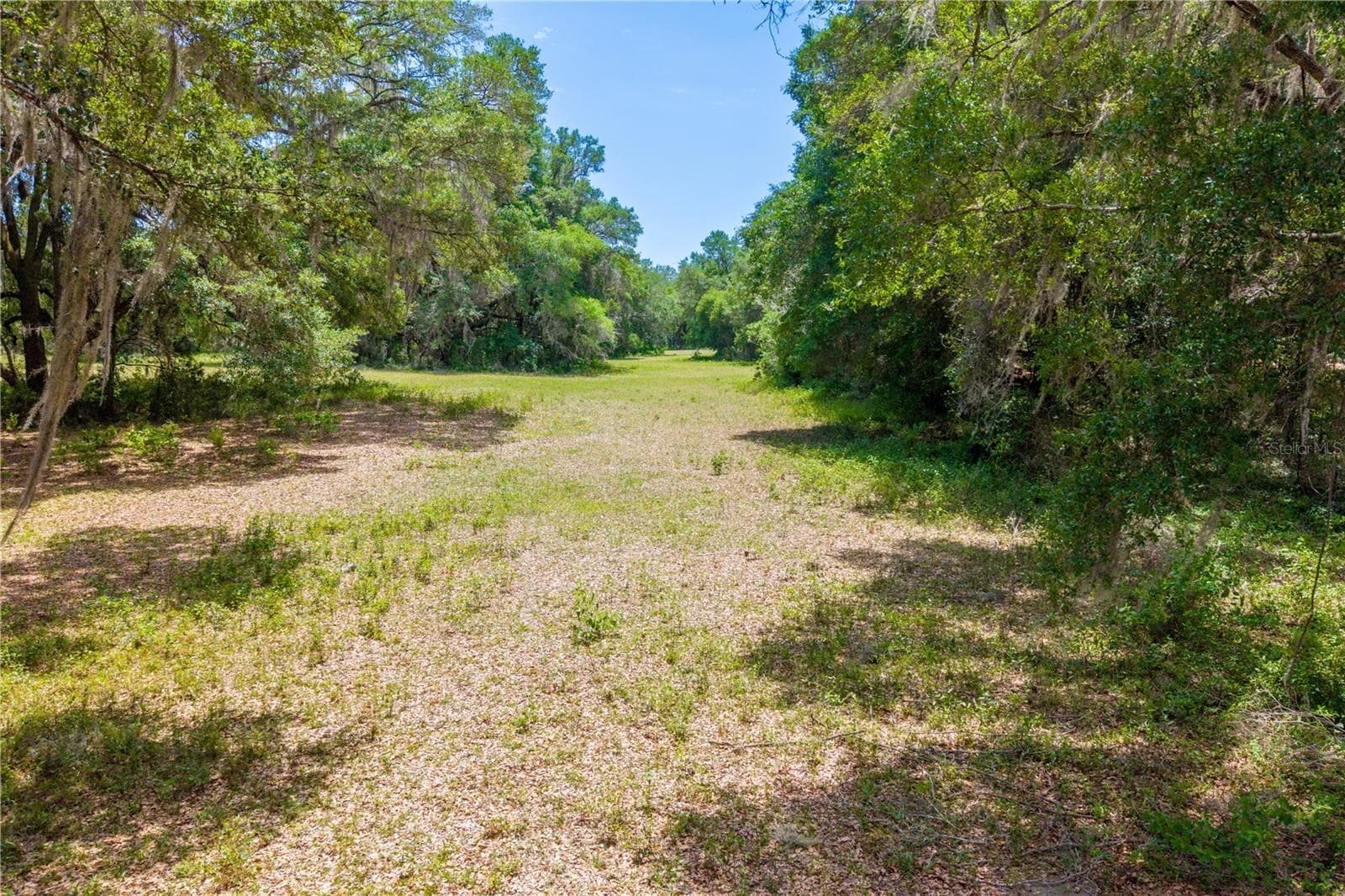 Land at TBD SW 170TH ST, NEWBERRY, photo 29 of 29