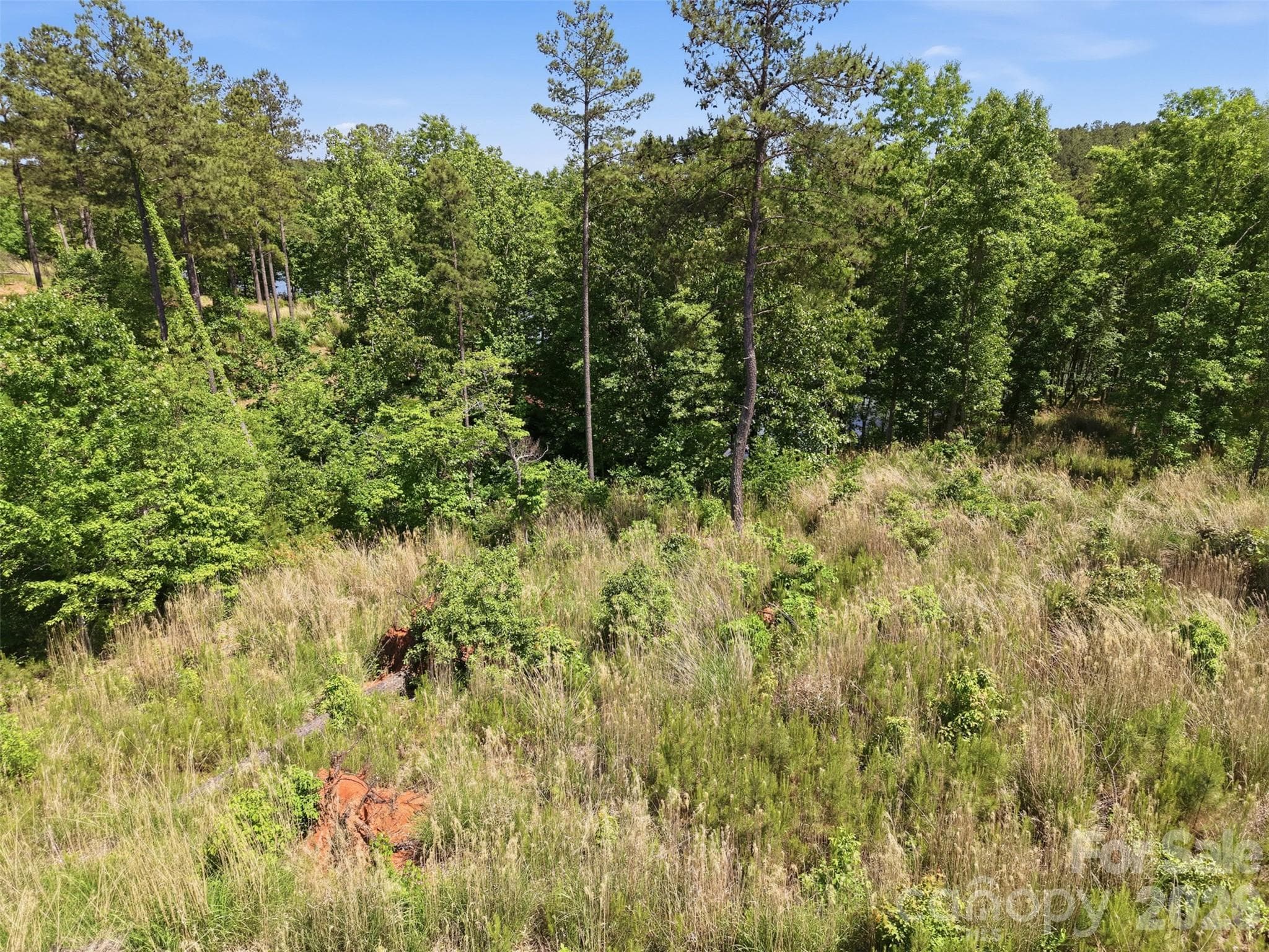 Lot at 2326 Princeton Mountain, Connelly Springs, photo 5 of 12
