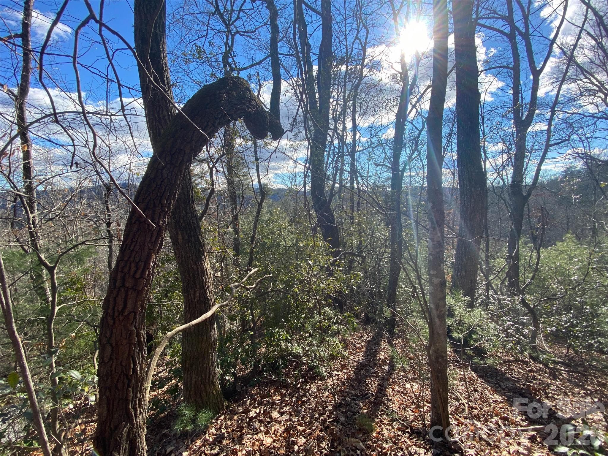 Lot at 999 High Point Trail, Brevard, photo 10 of 22