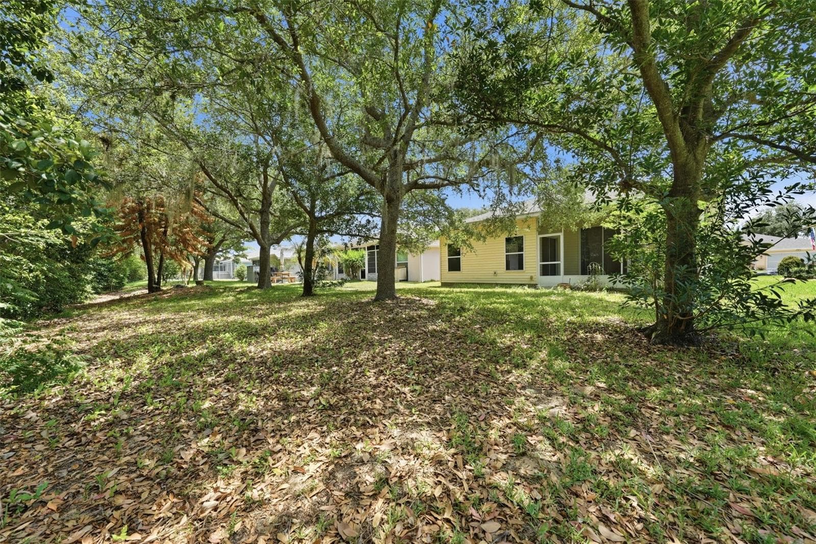 Back of Home - 4962 RAINBOW TROUT RD, TAVARES