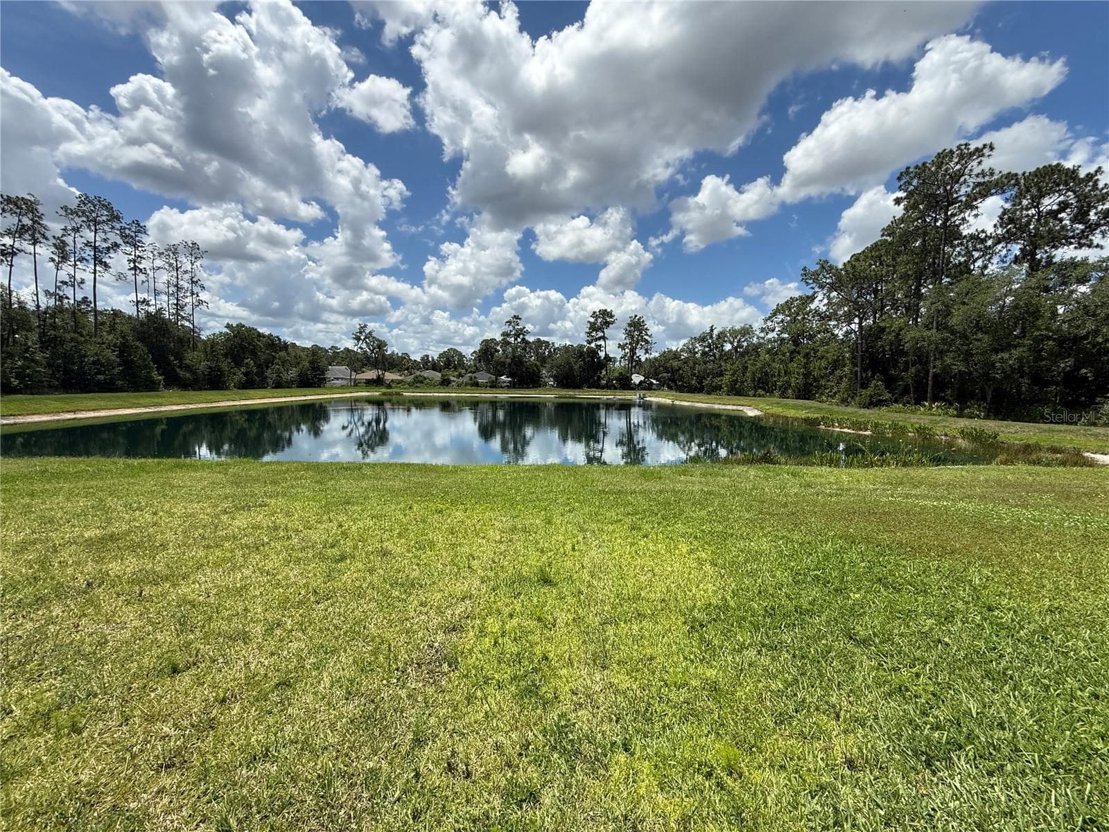 Single Family Residence at 30596 THUNDERBIRD DR, WESLEY CHAPEL, photo 6 of 48