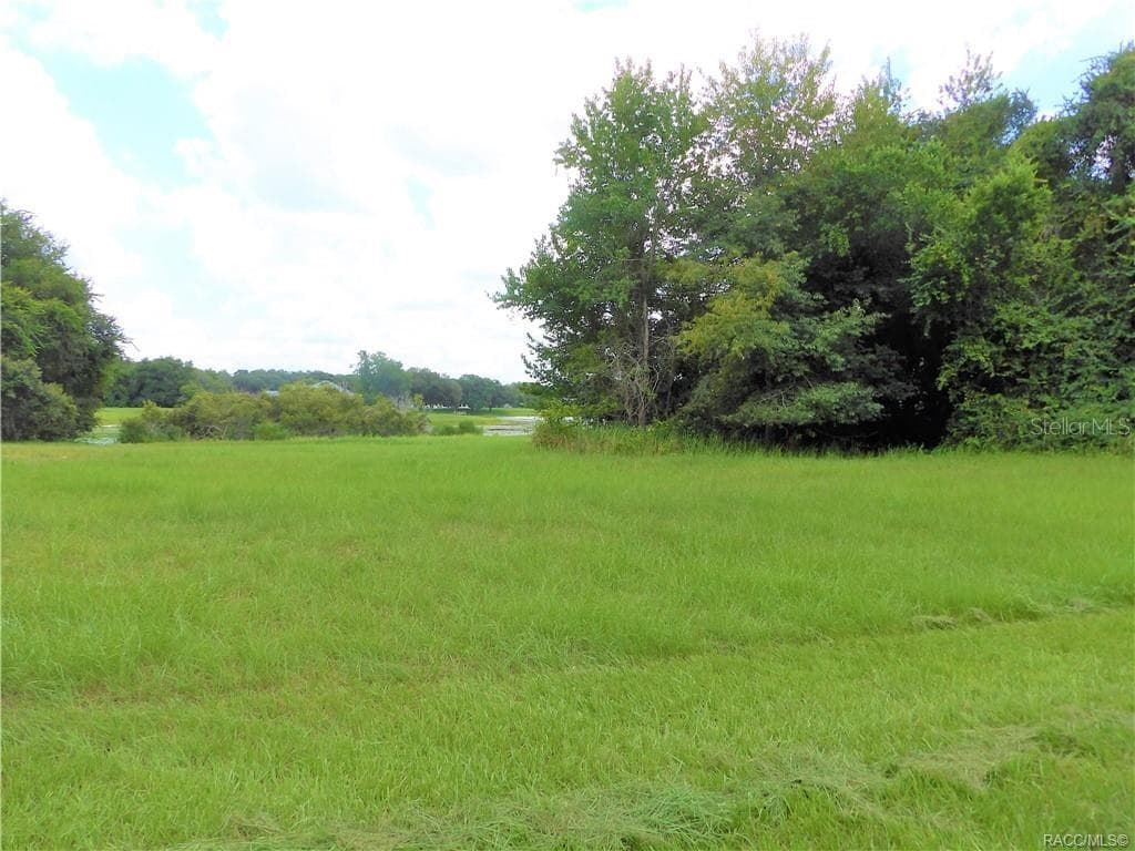Land at 9546 E BAYMEADOWS DR, INVERNESS, photo 5 of 5