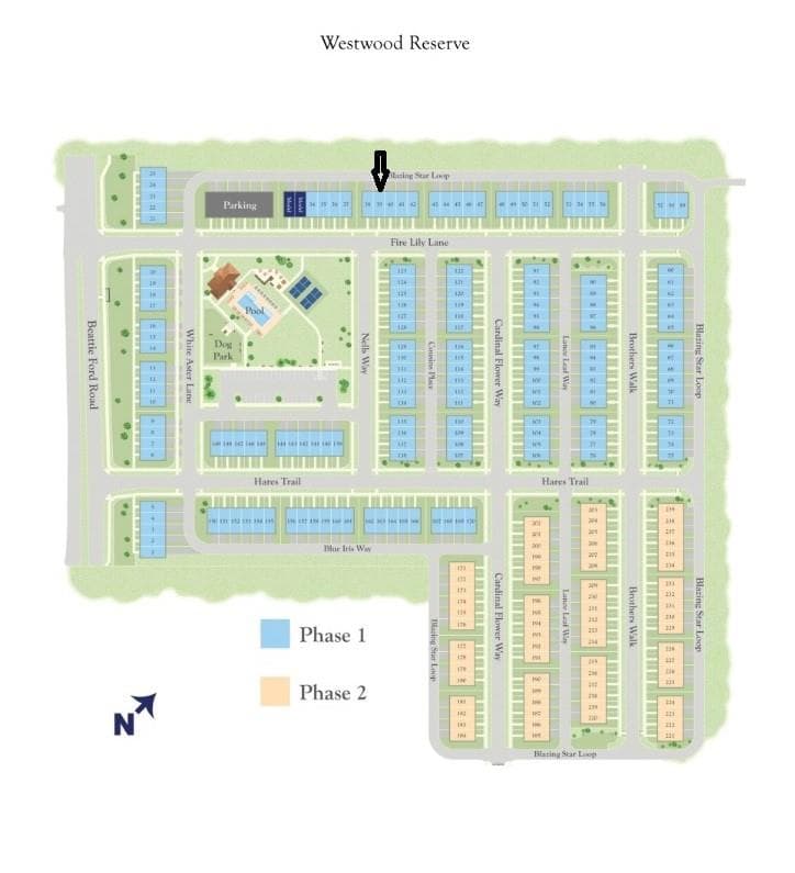 Homesite 39 - Charlotte