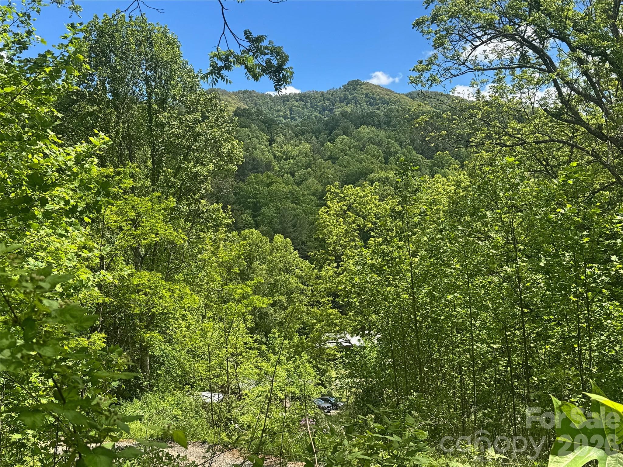 Acreage at V/L Wolf Crossing, Bakersville, photo 4 of 16